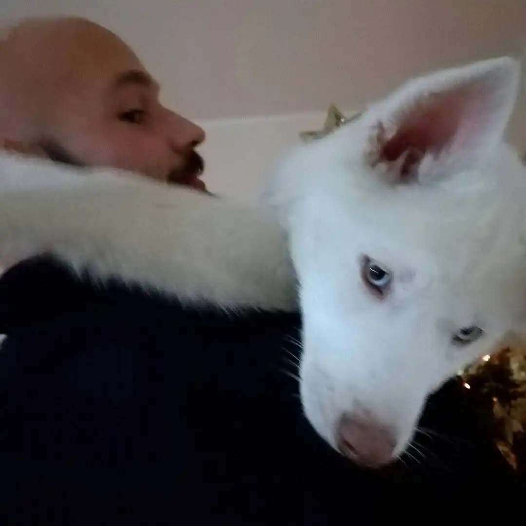 image-8
