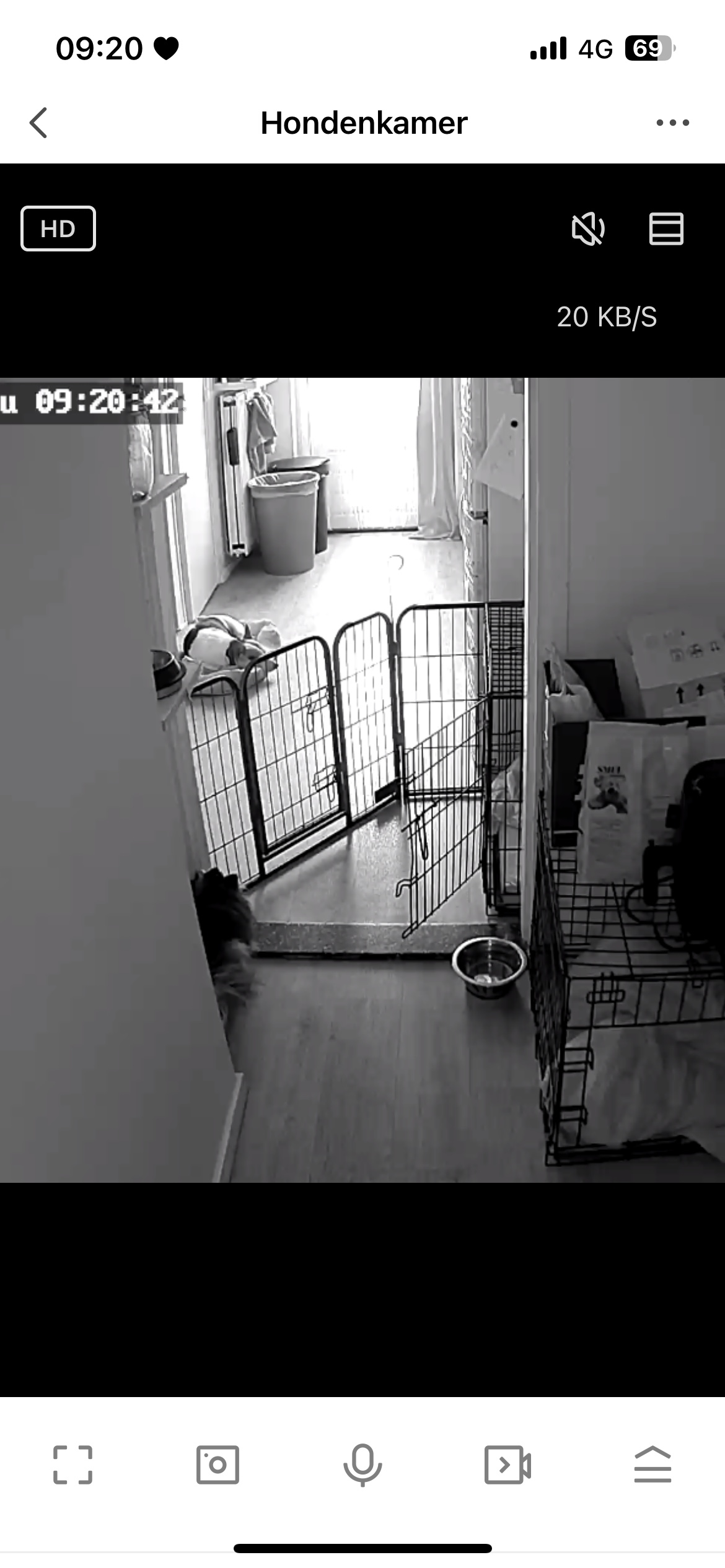 image-14