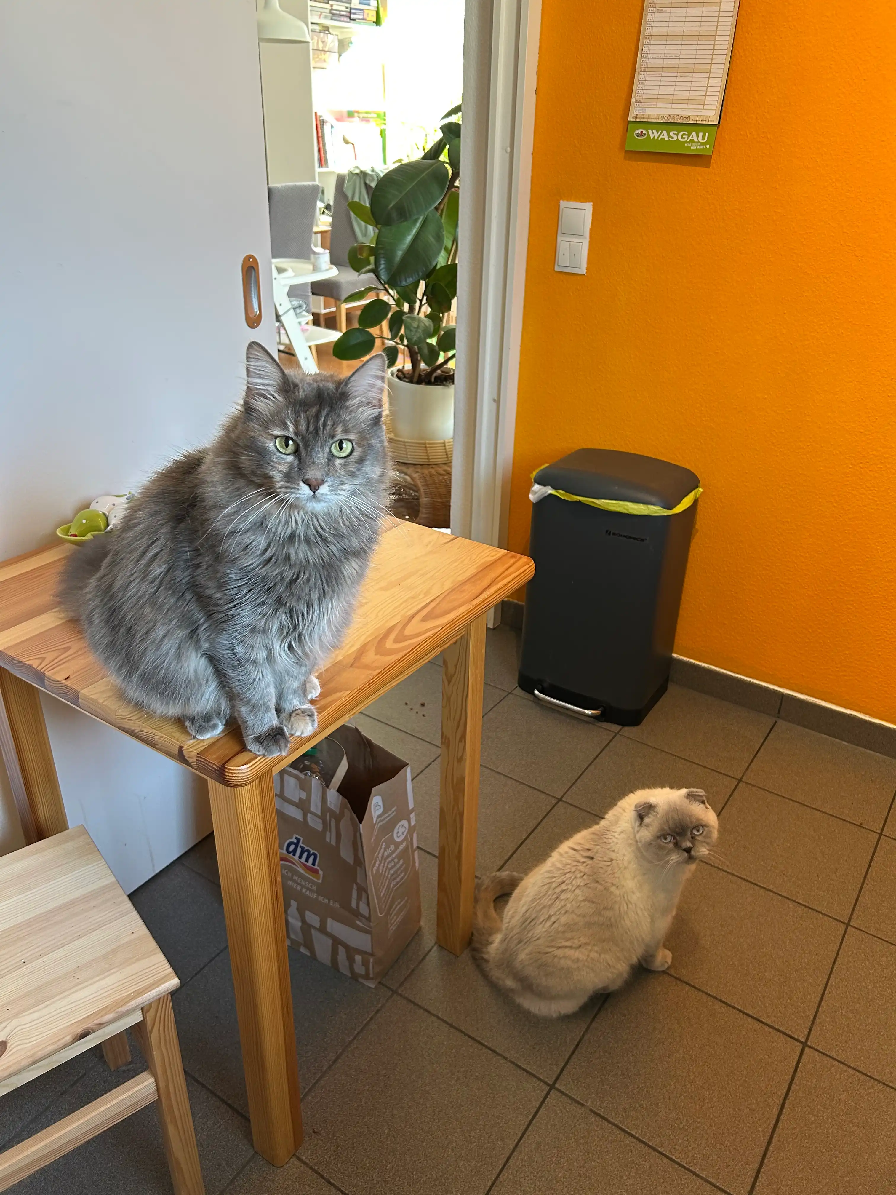 image-18