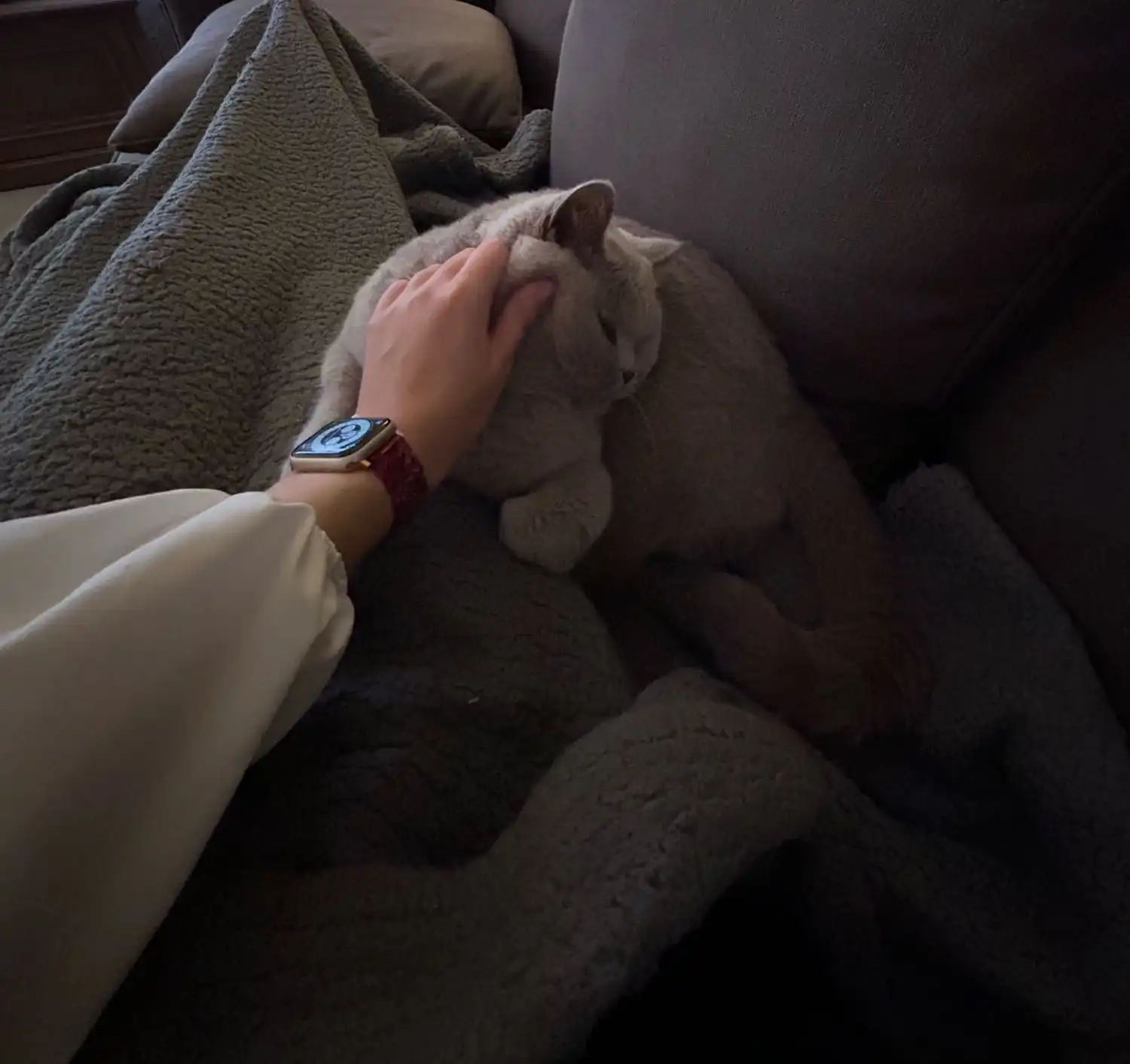 image-5