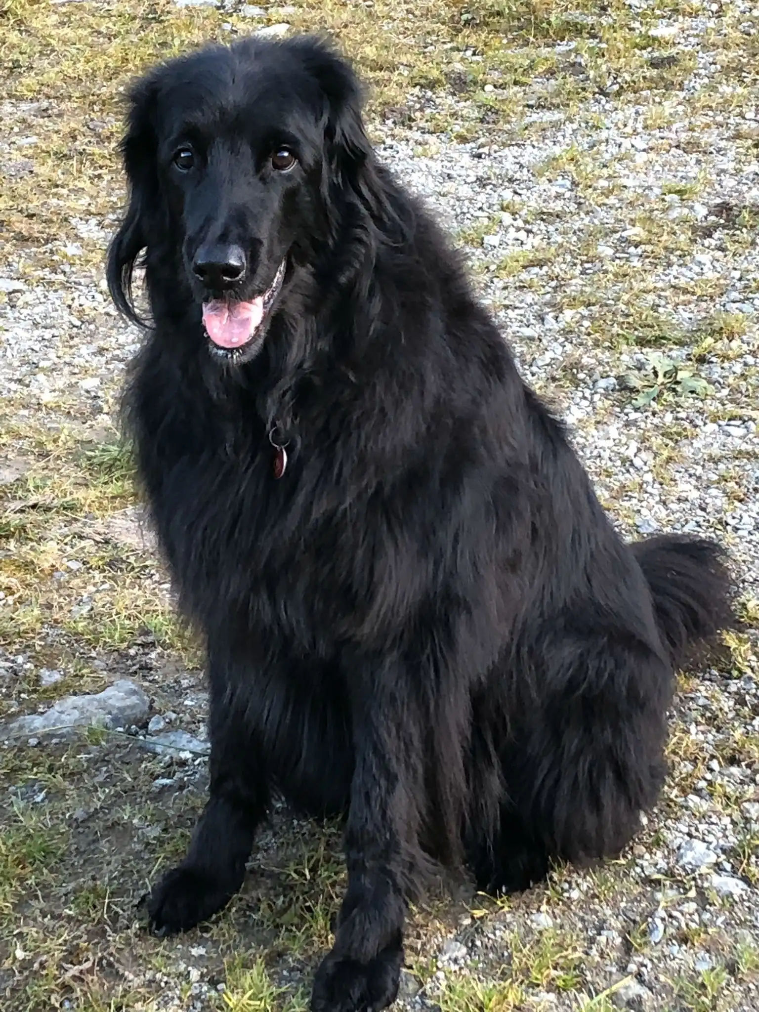 image-5