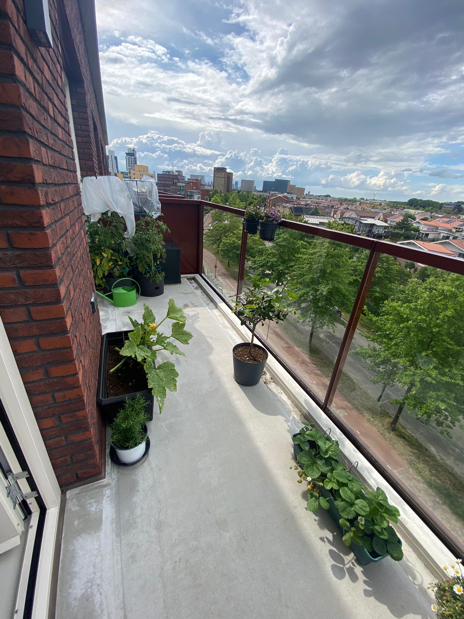 image-11