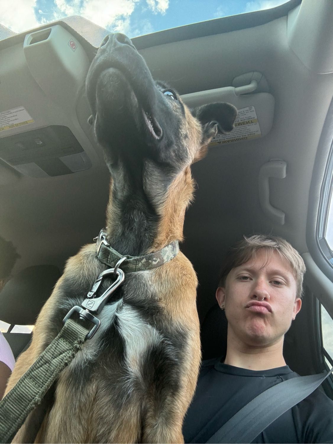image-6