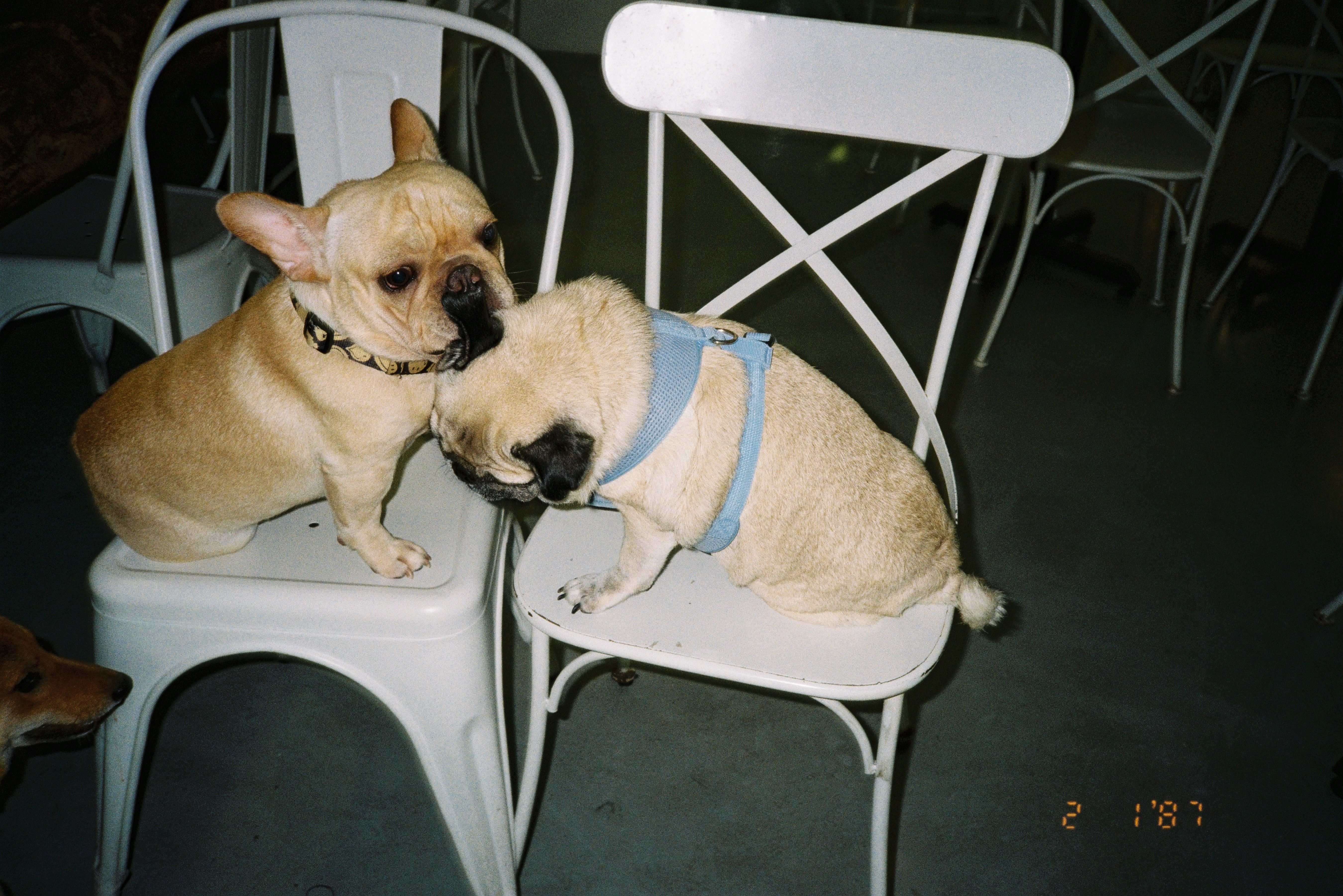 image-11