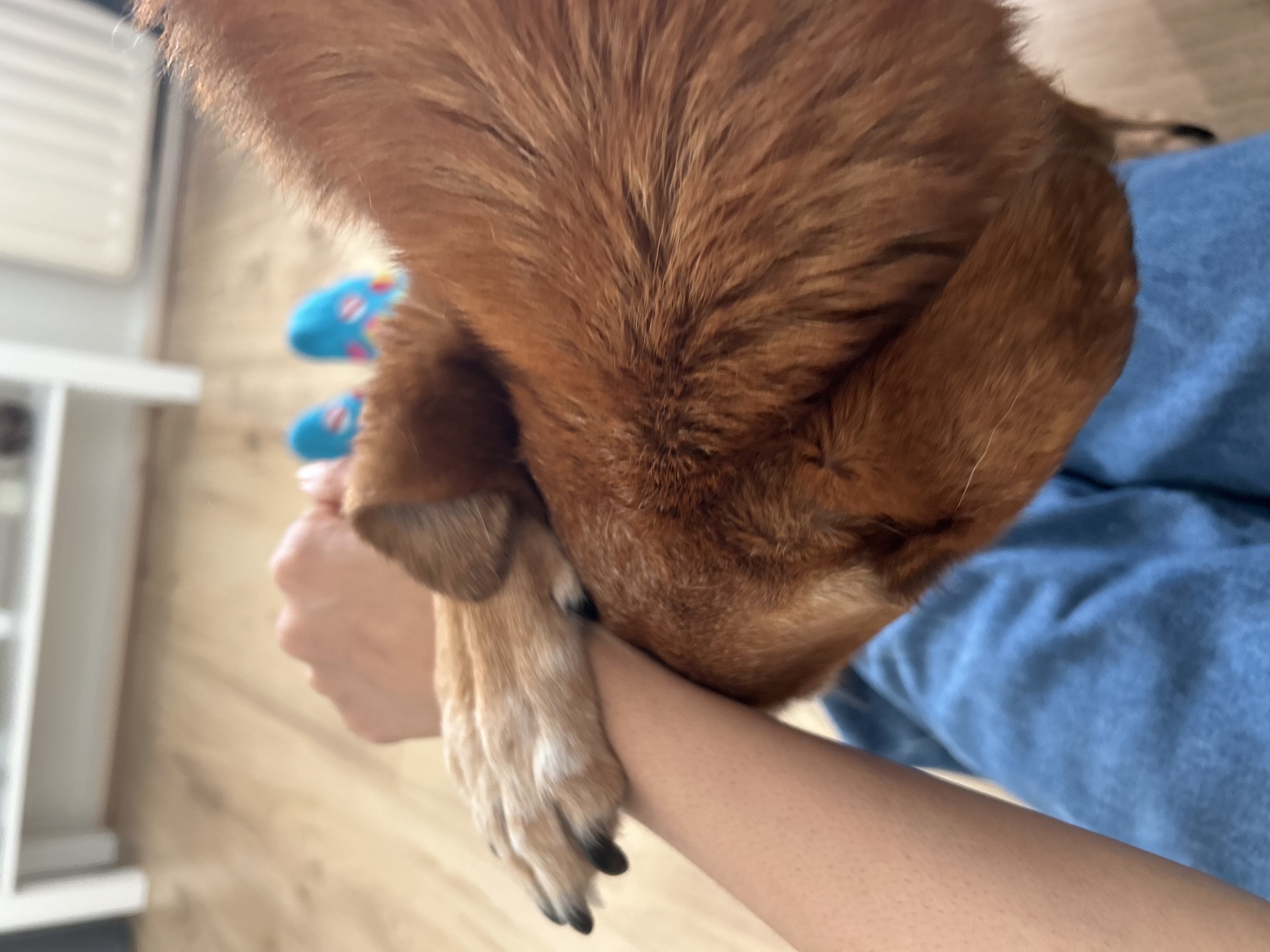 image-9