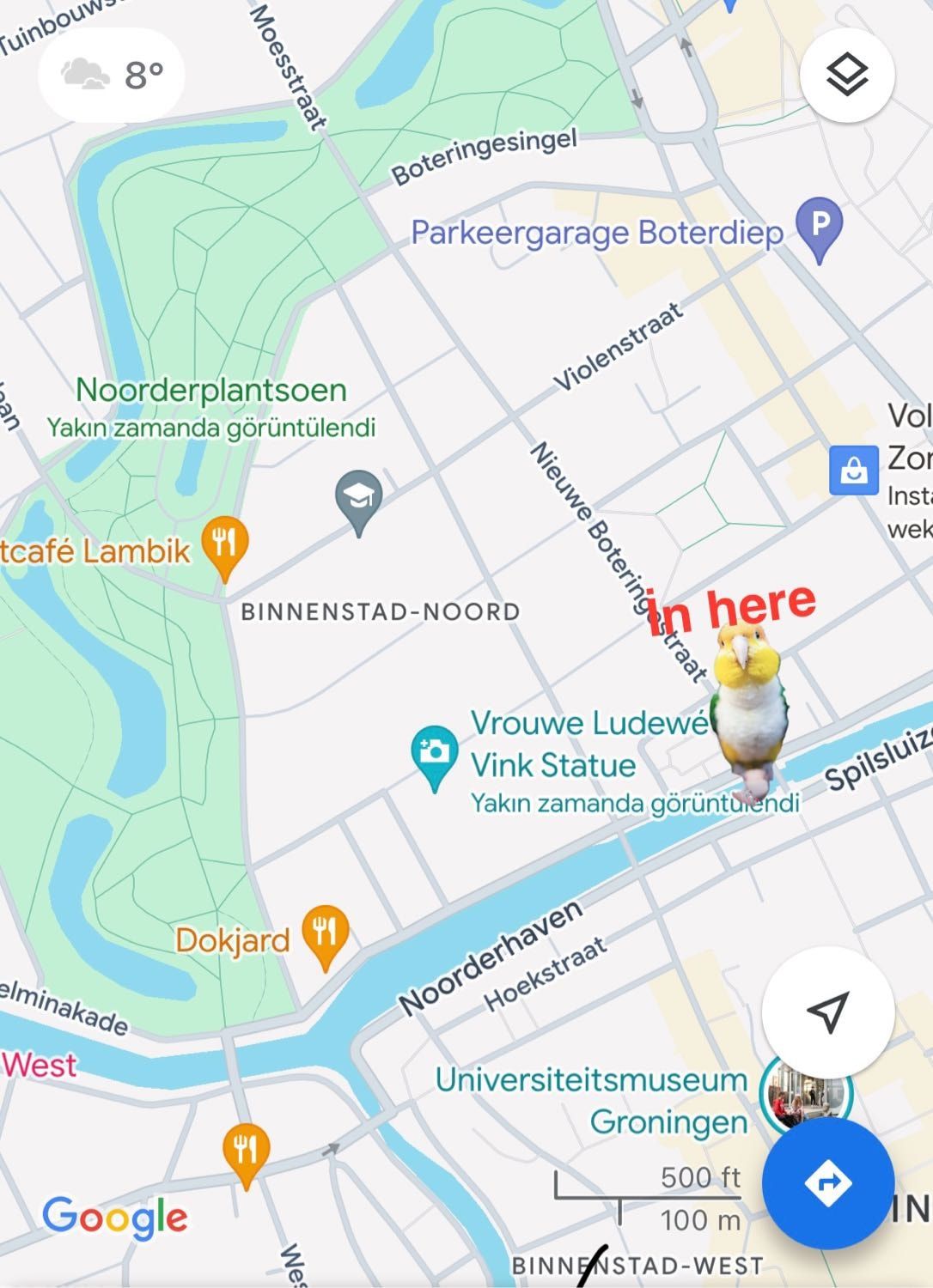 image-14