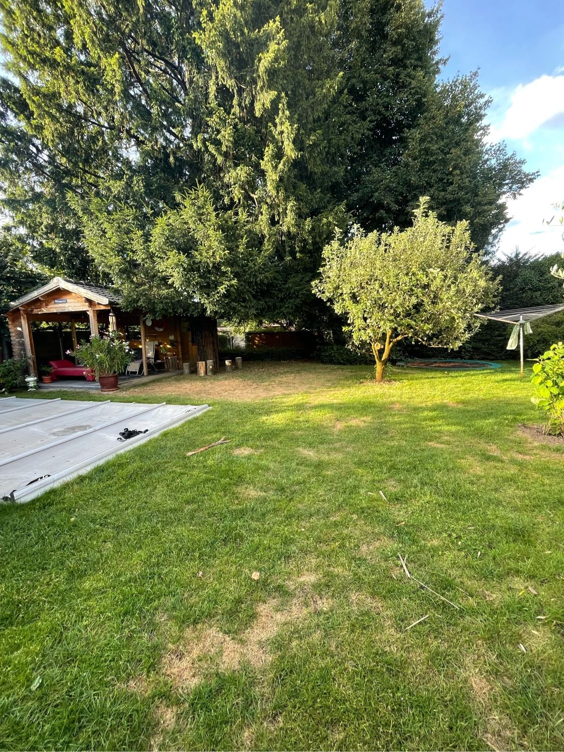image-17