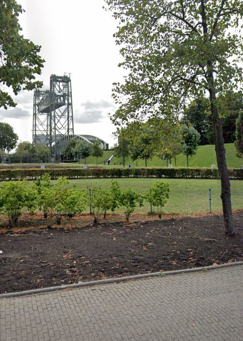 image-4