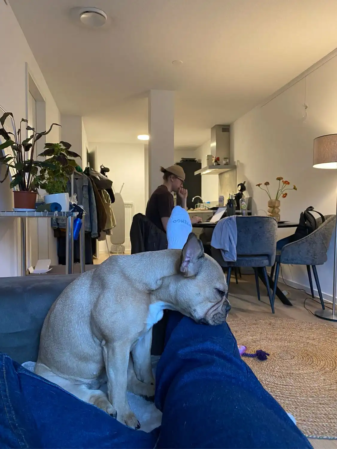 image-13