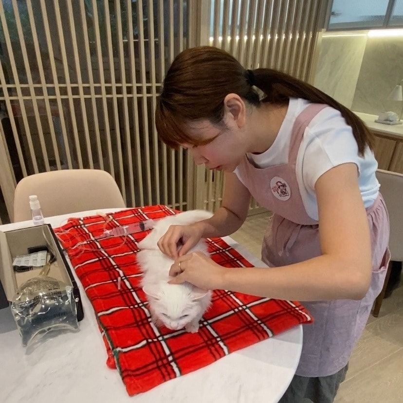 image-8