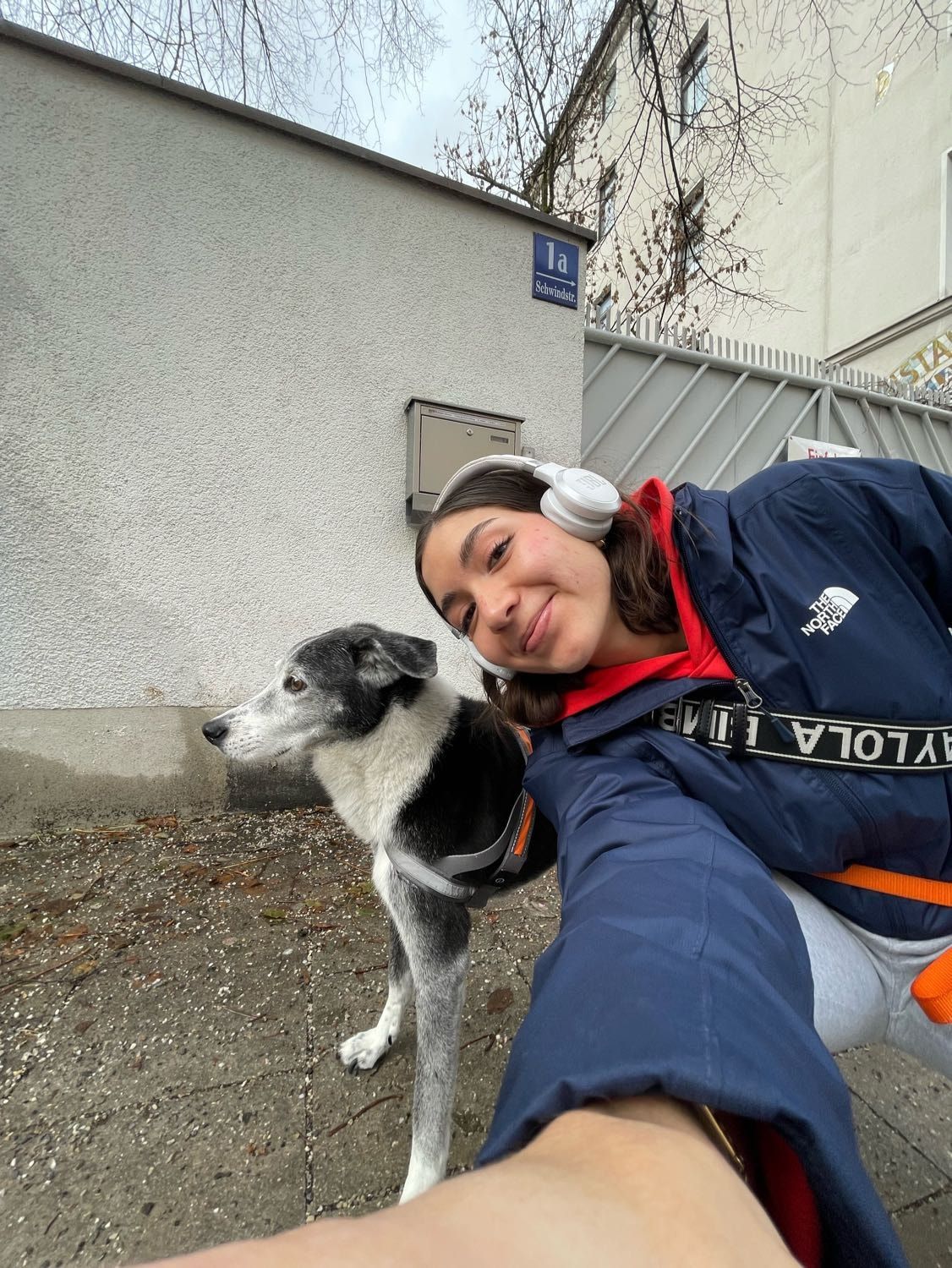 image-27