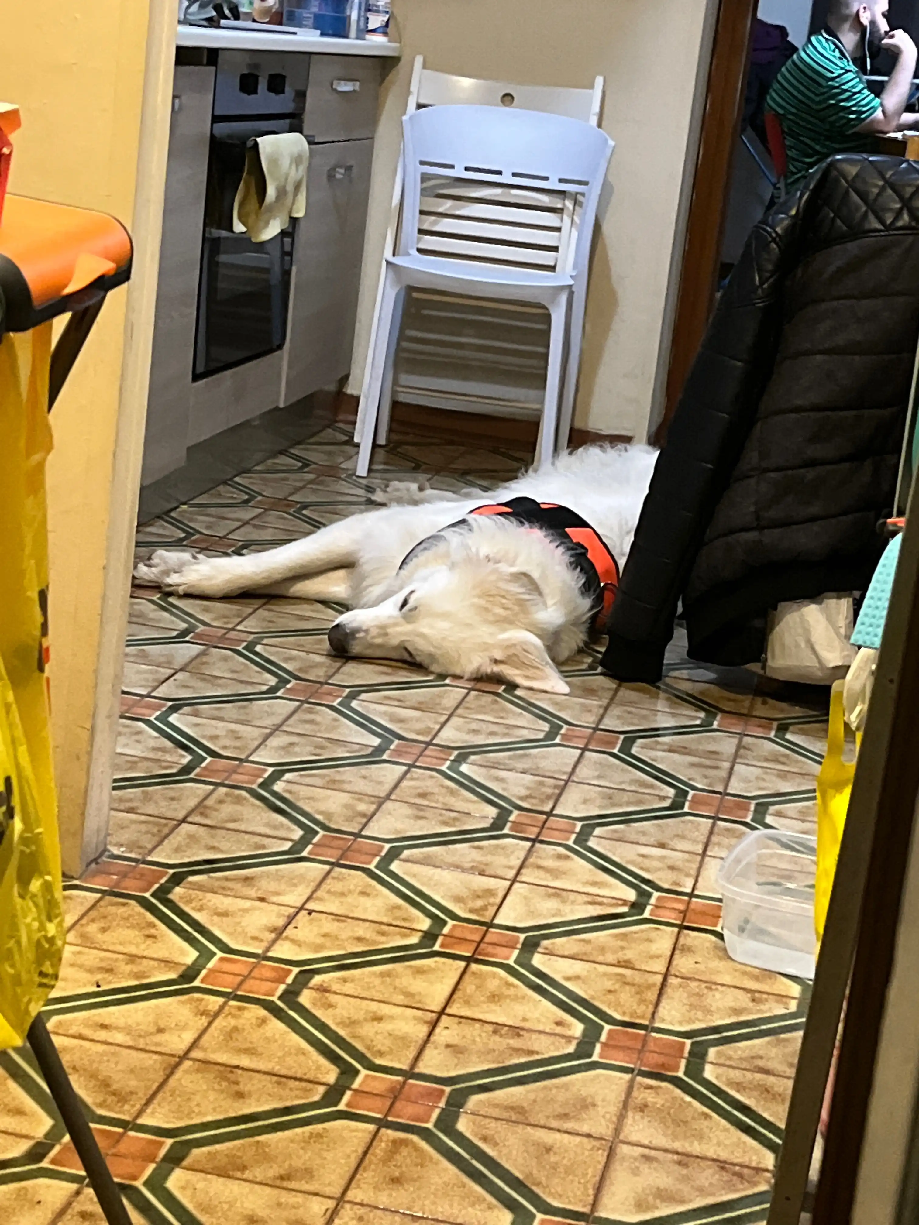 image-17
