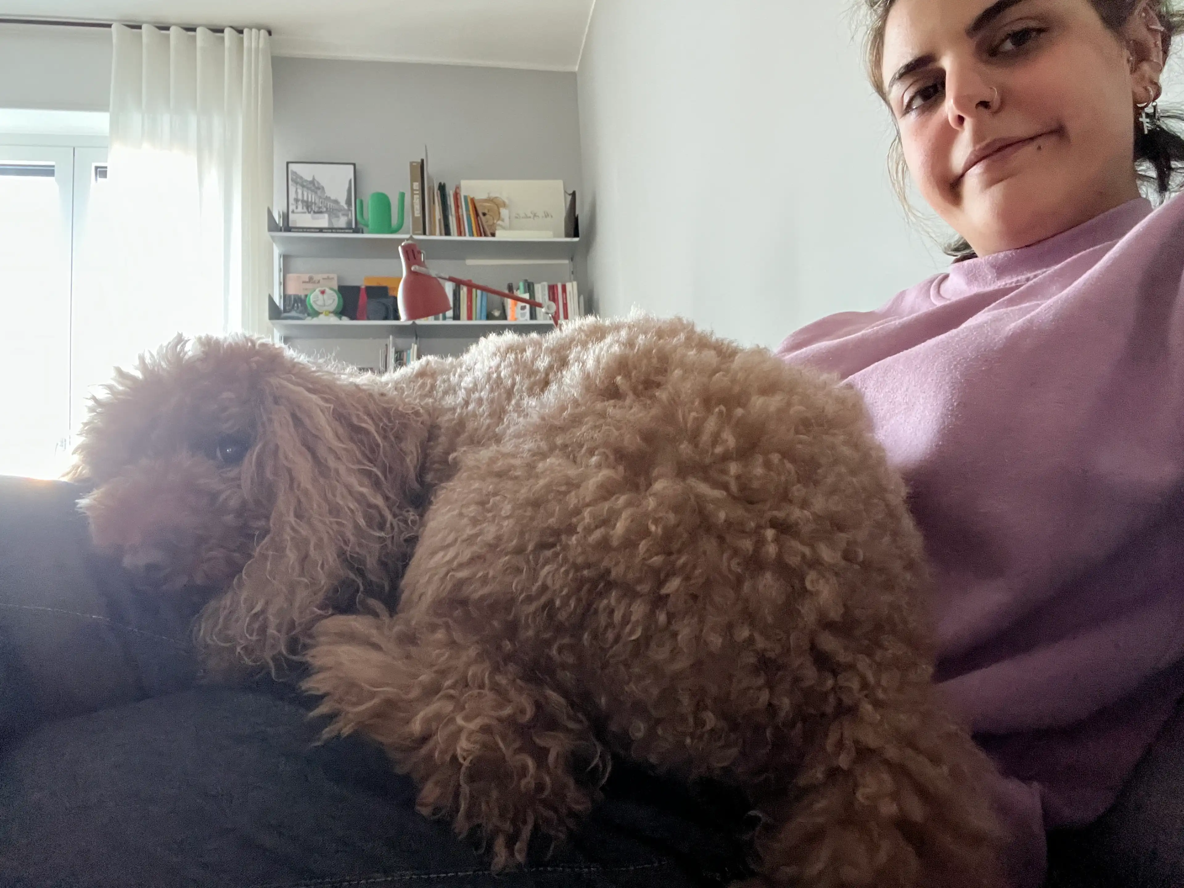 image-7