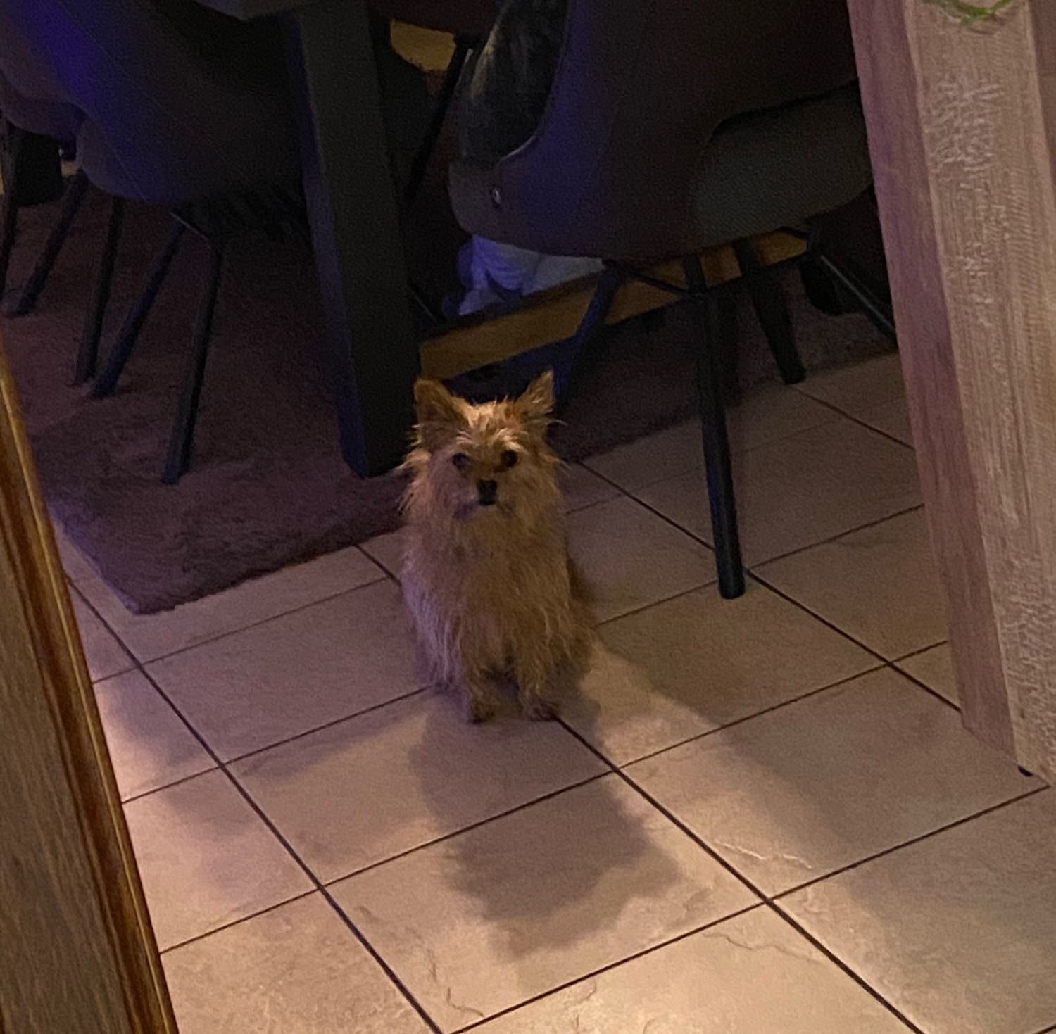 image-28