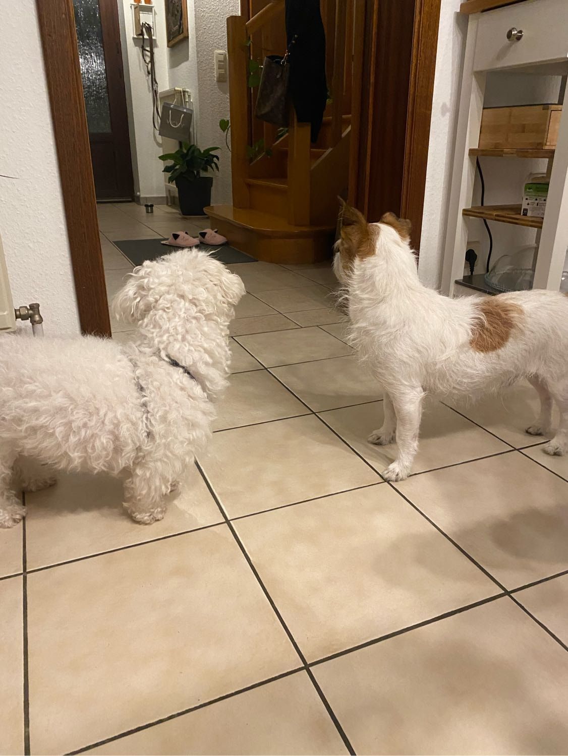 image-18