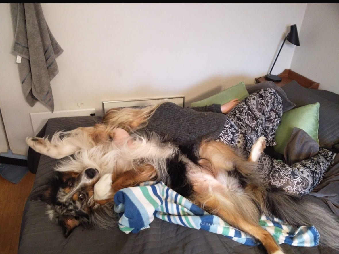 image-10