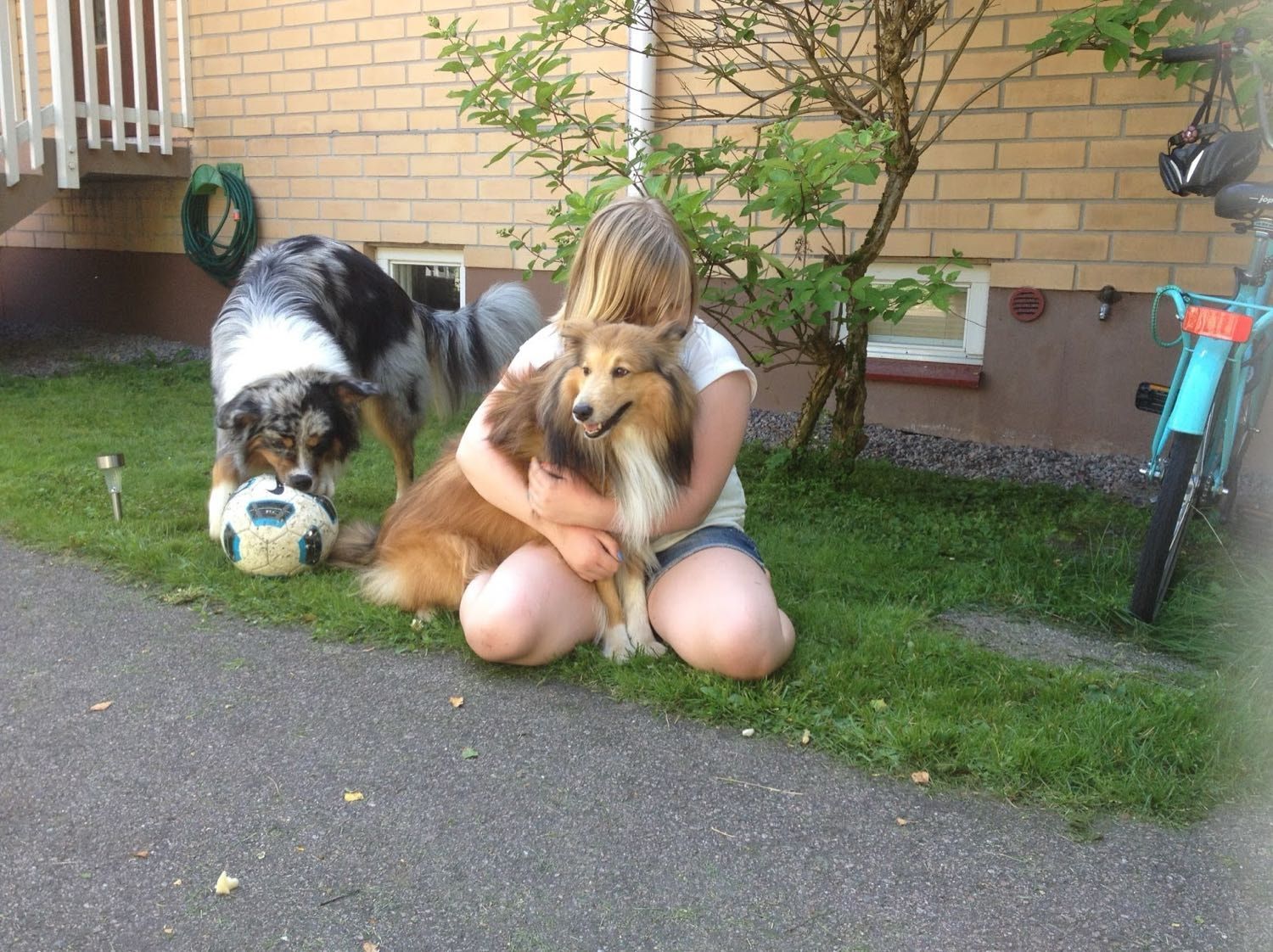 image-9