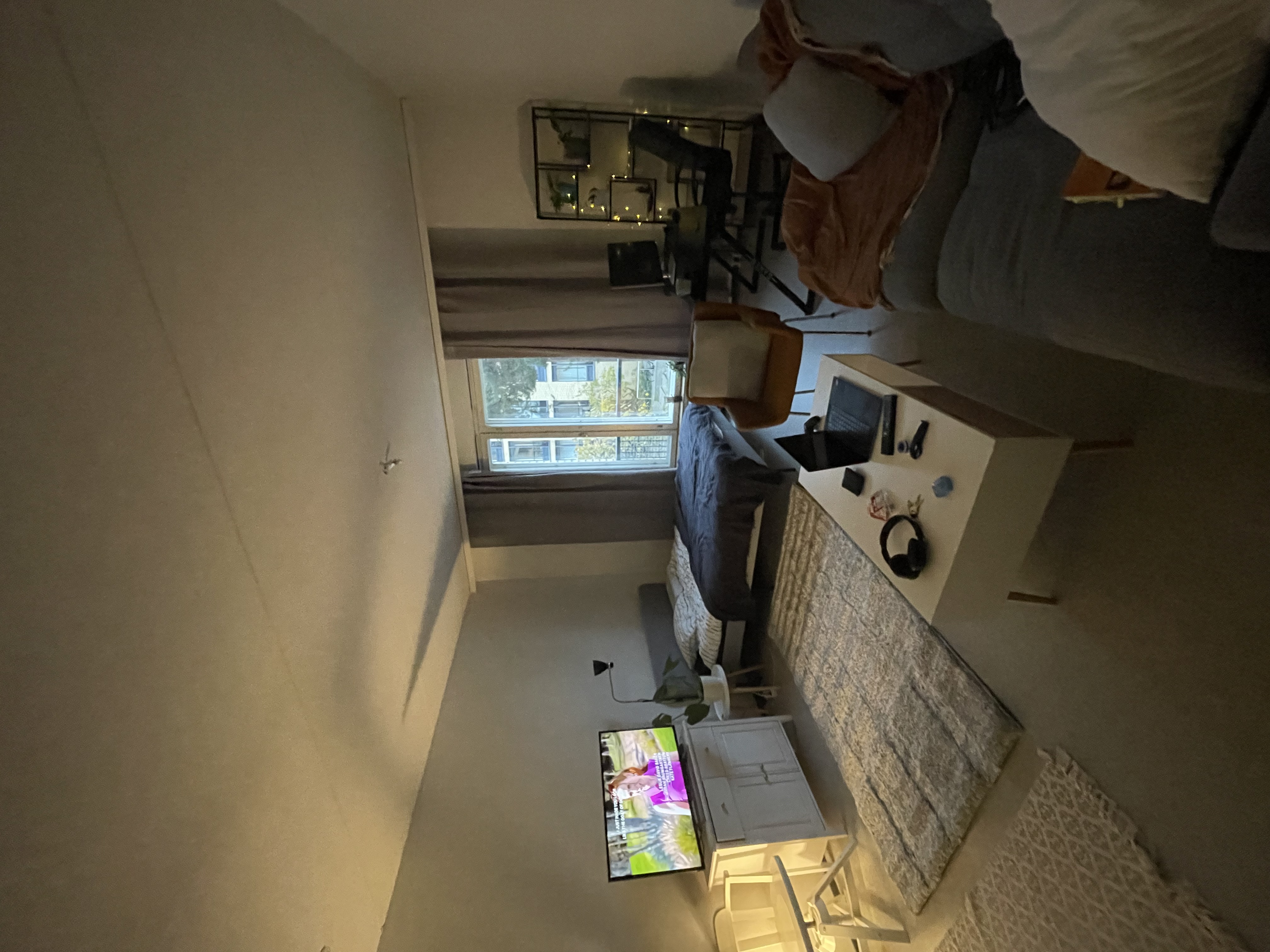 image-7