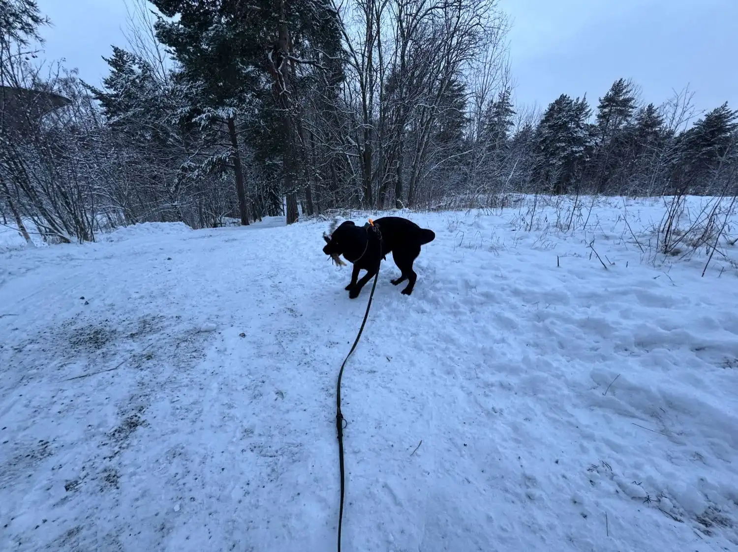image-18