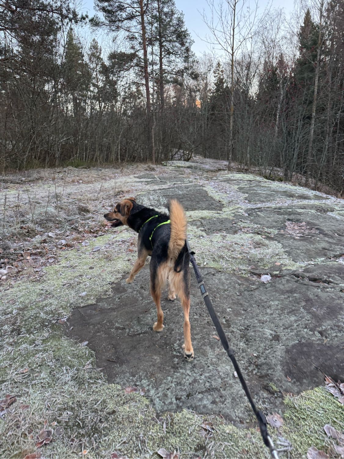 image-12