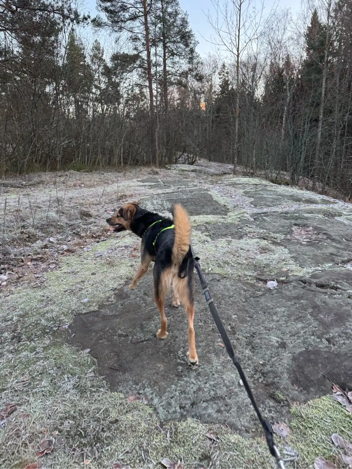 image-12
