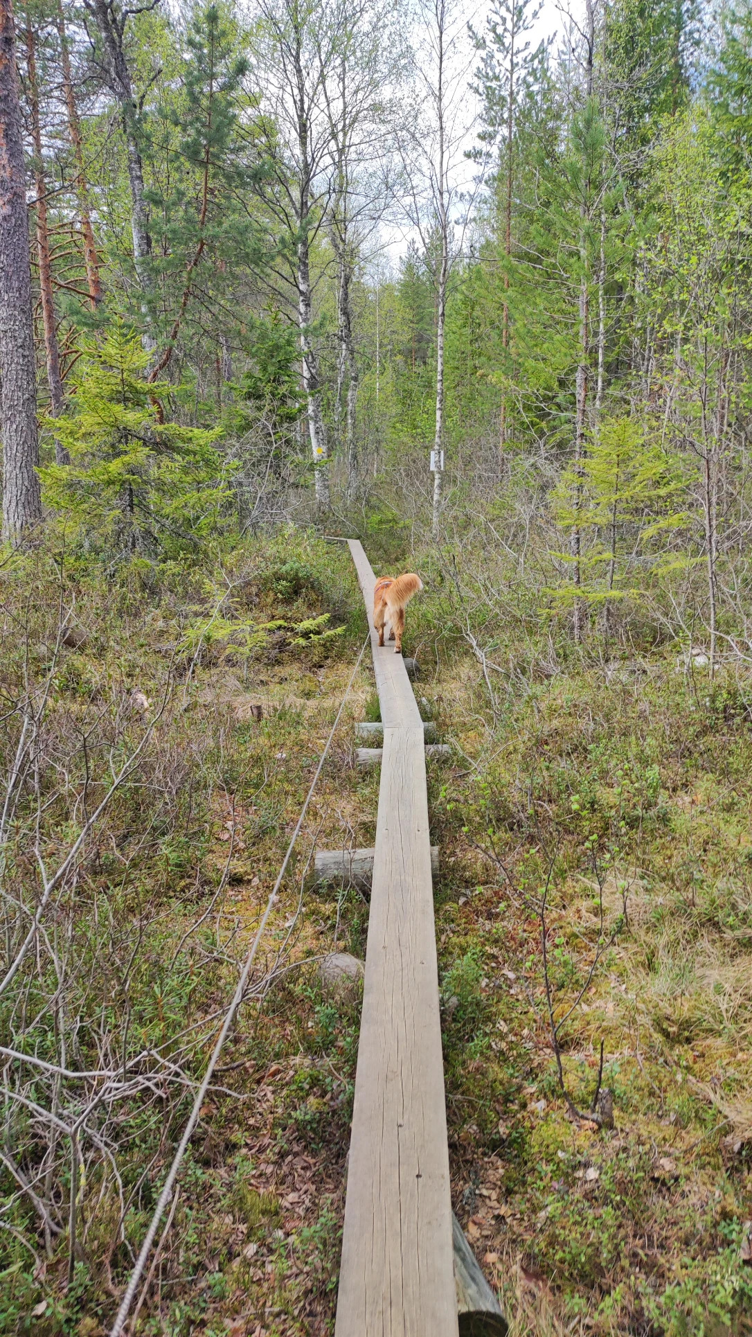 image-9