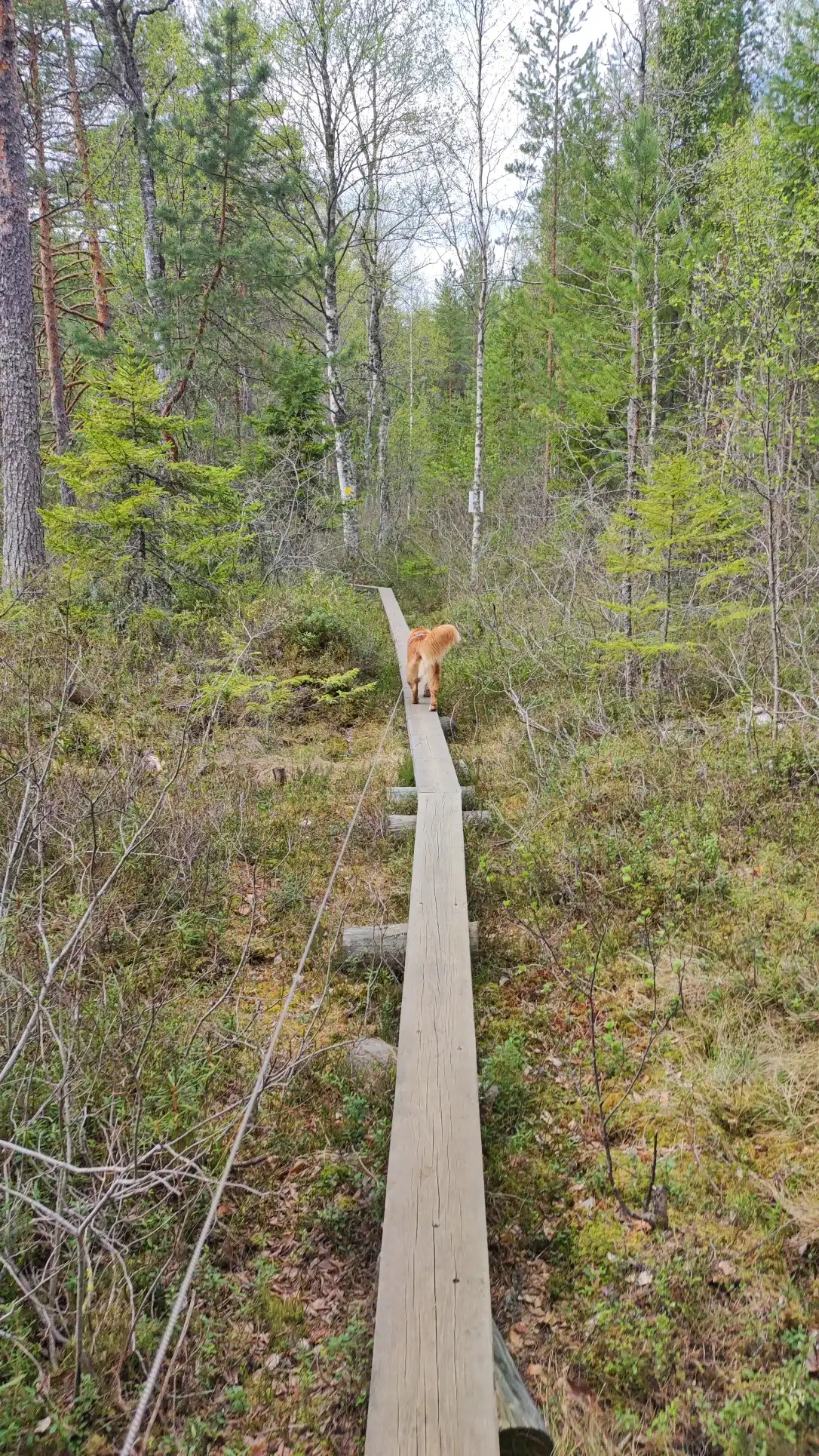 image-9
