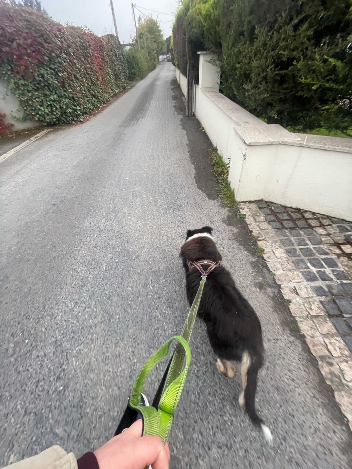 image-8