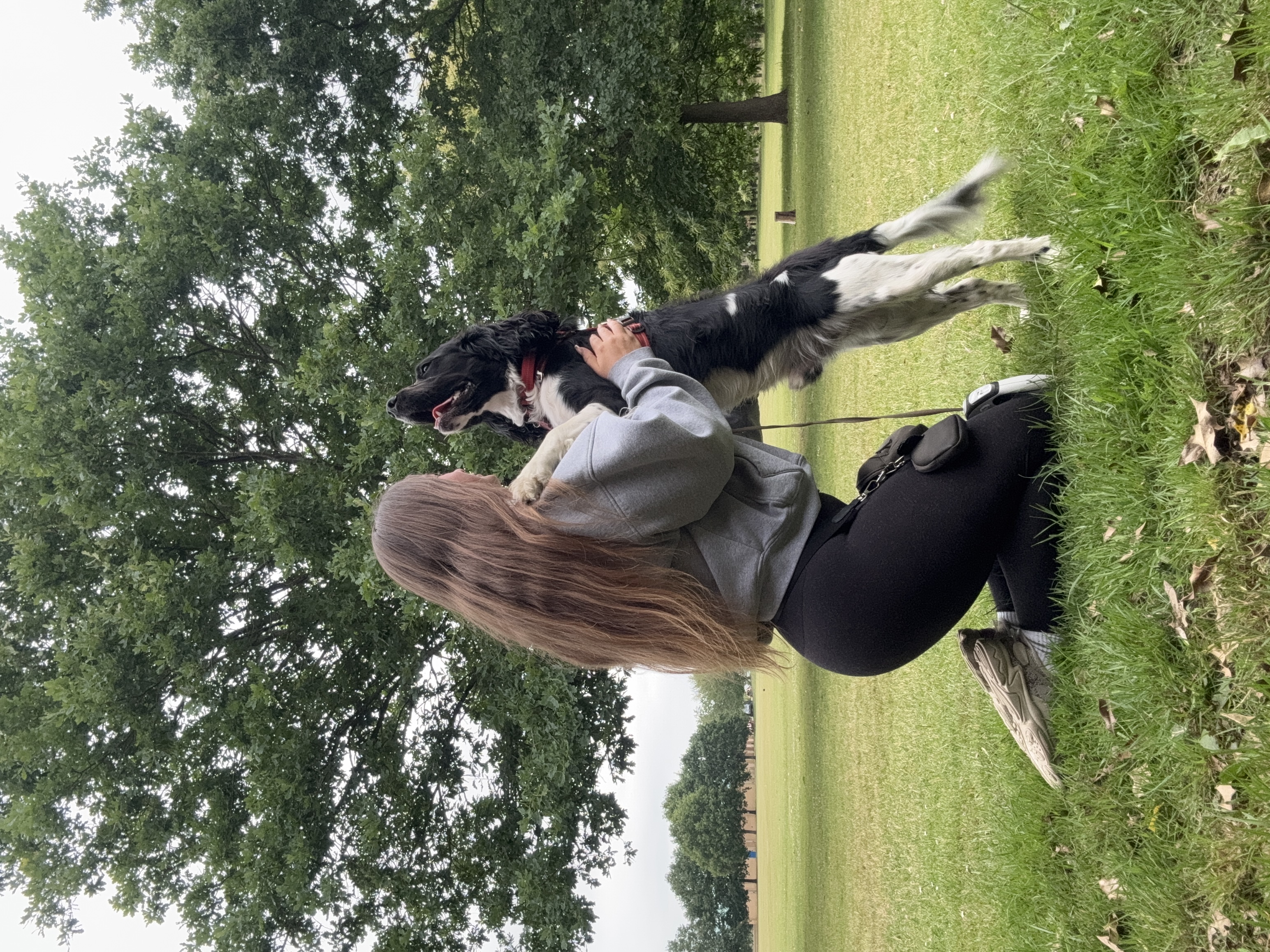 image-16