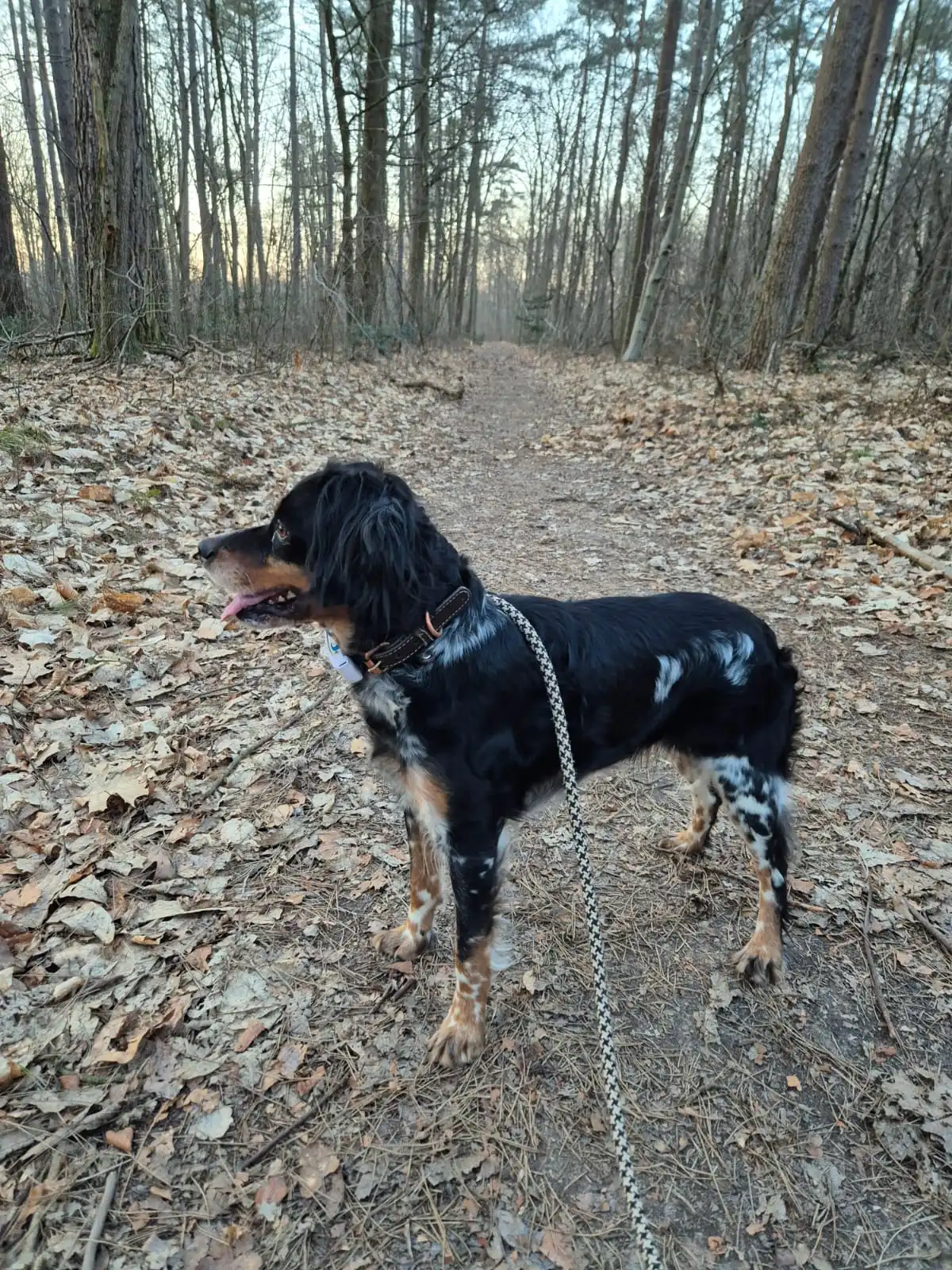 image-9