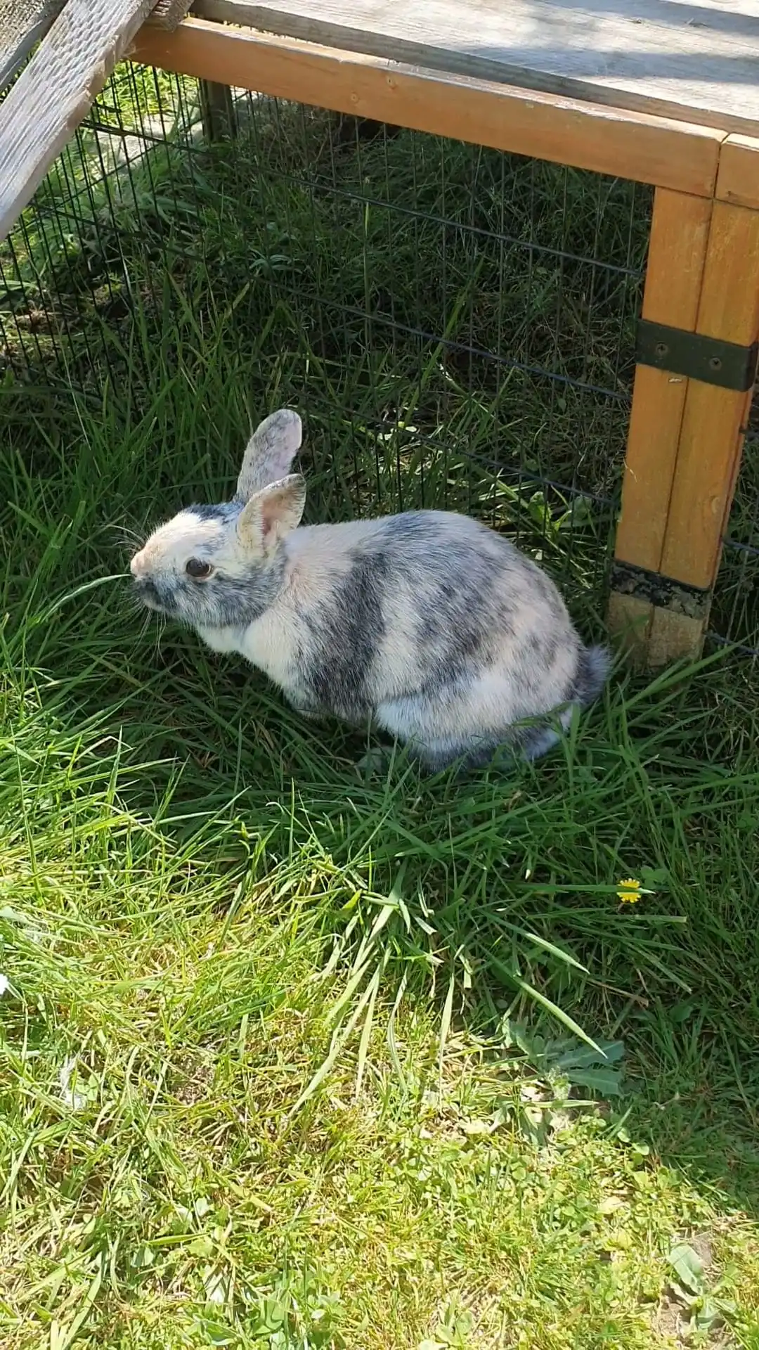 image-7