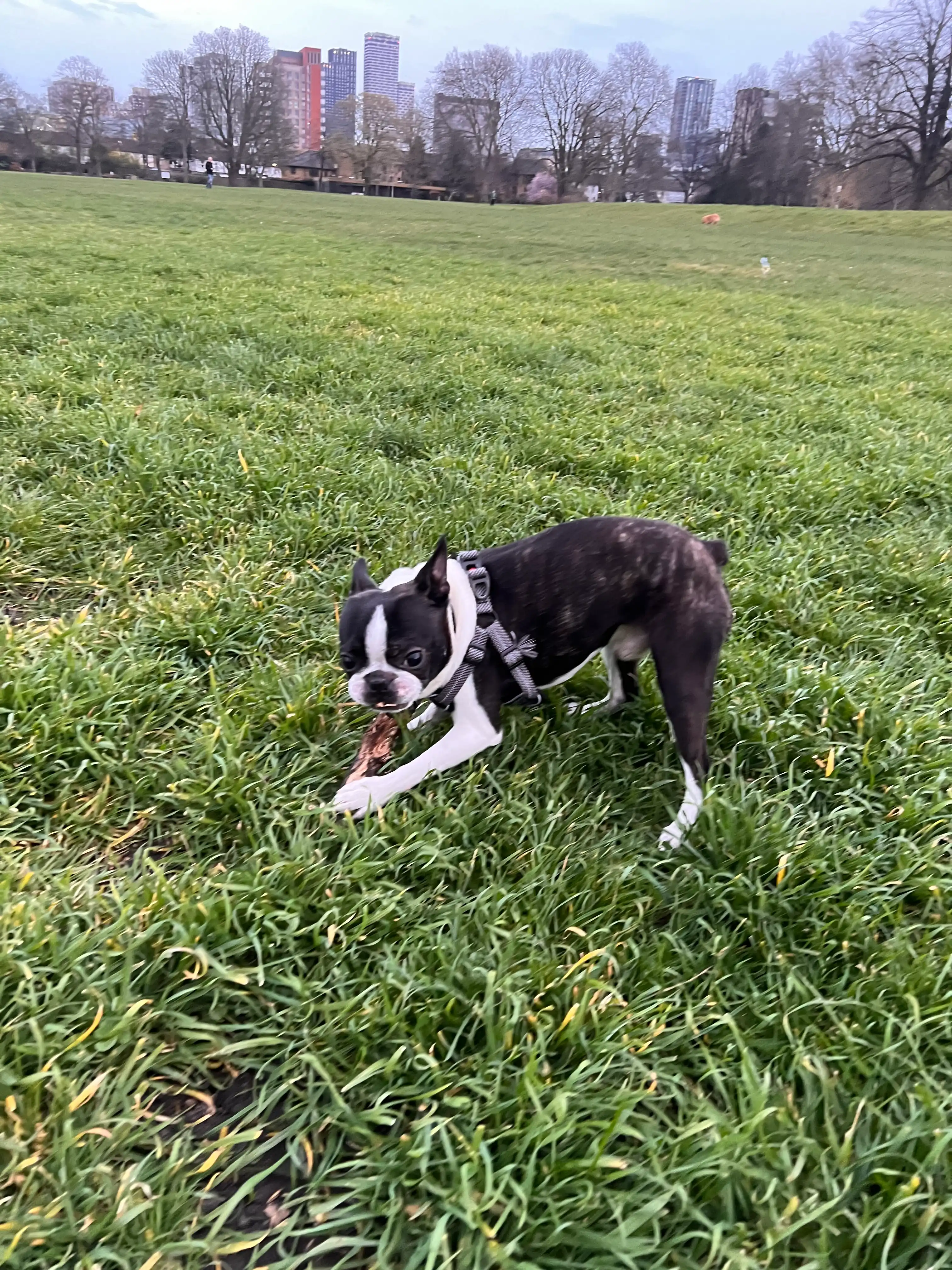 image-18
