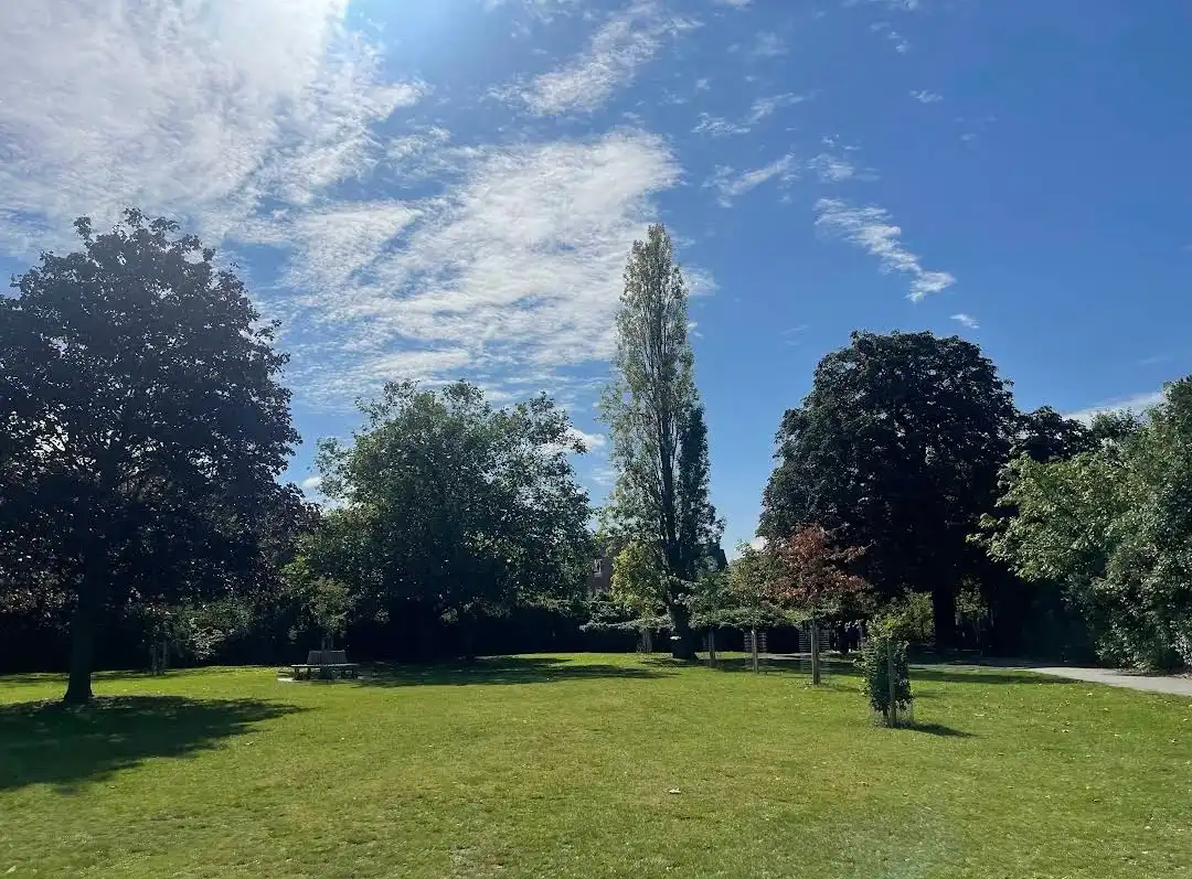 image-19
