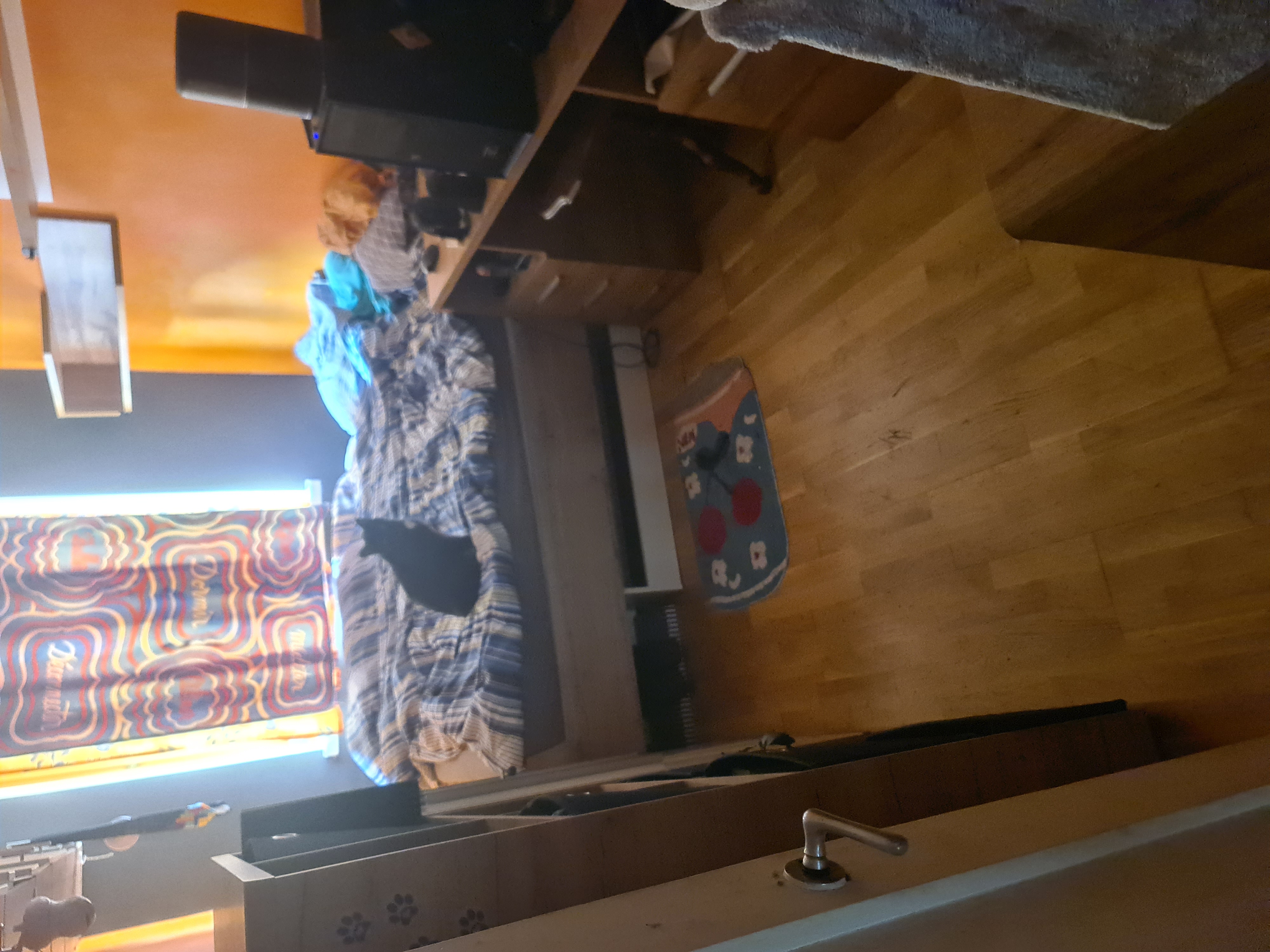 image-12