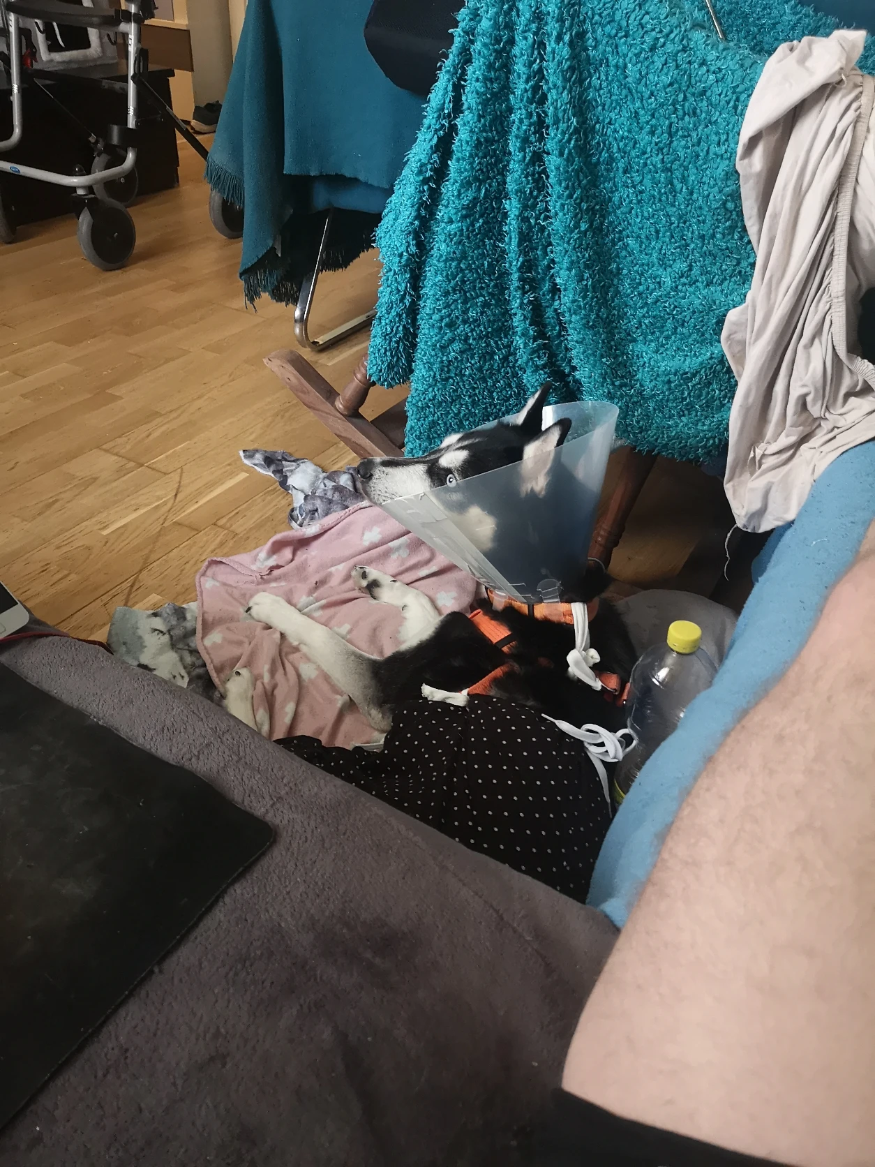 image-9