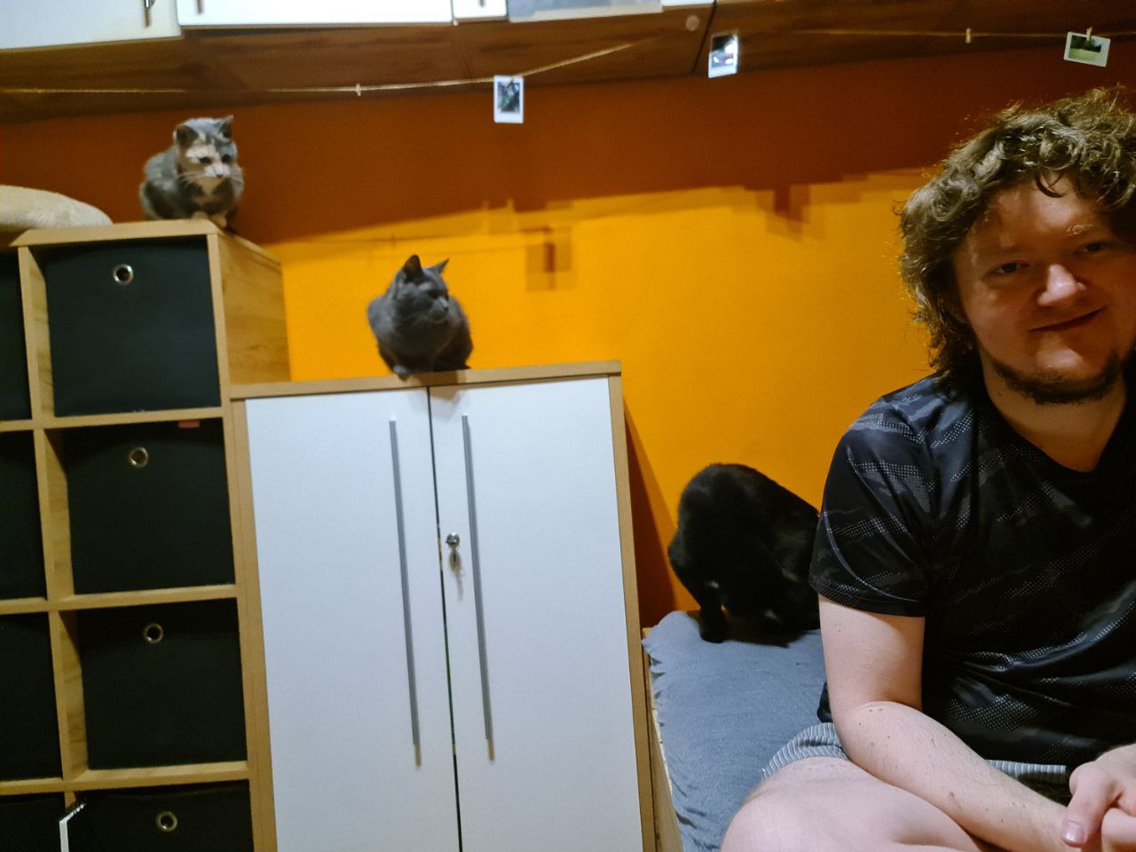 image-7
