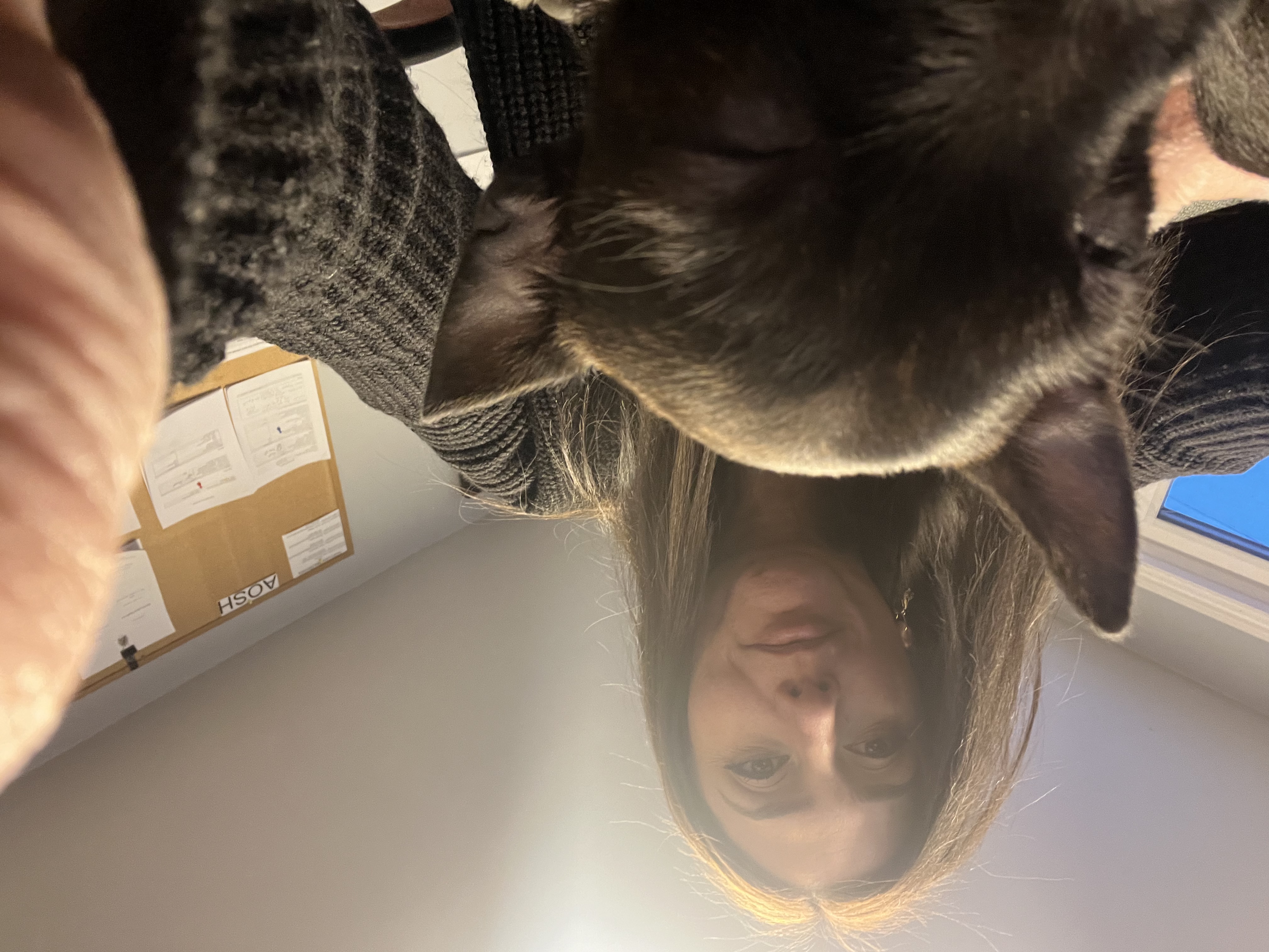image-6