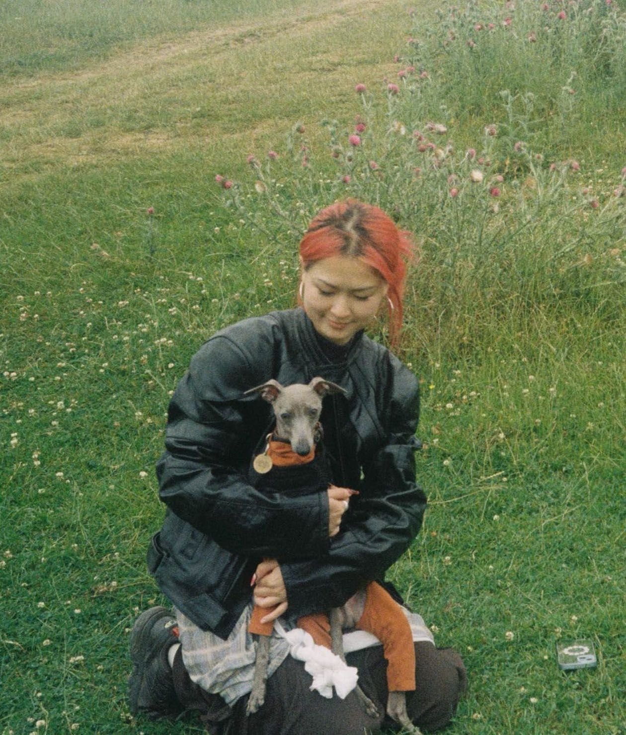 image-9