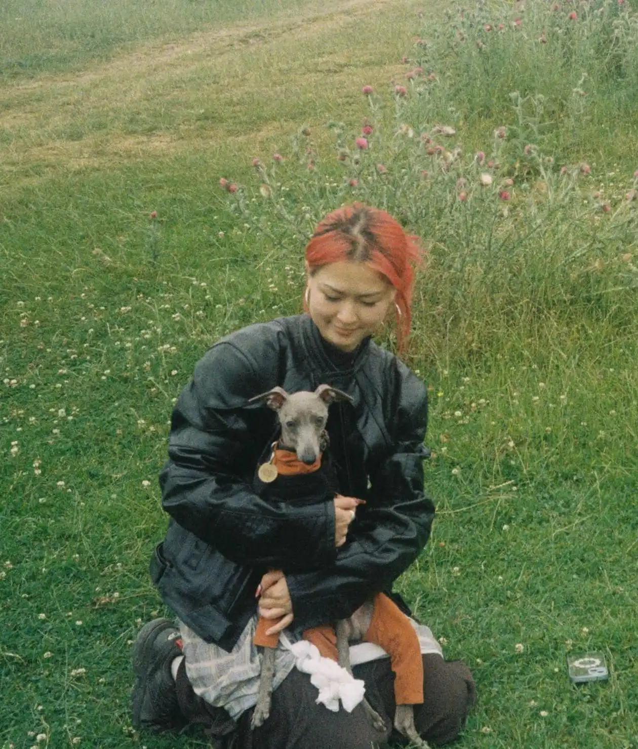image-9
