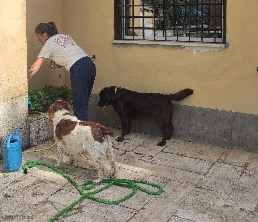image-21