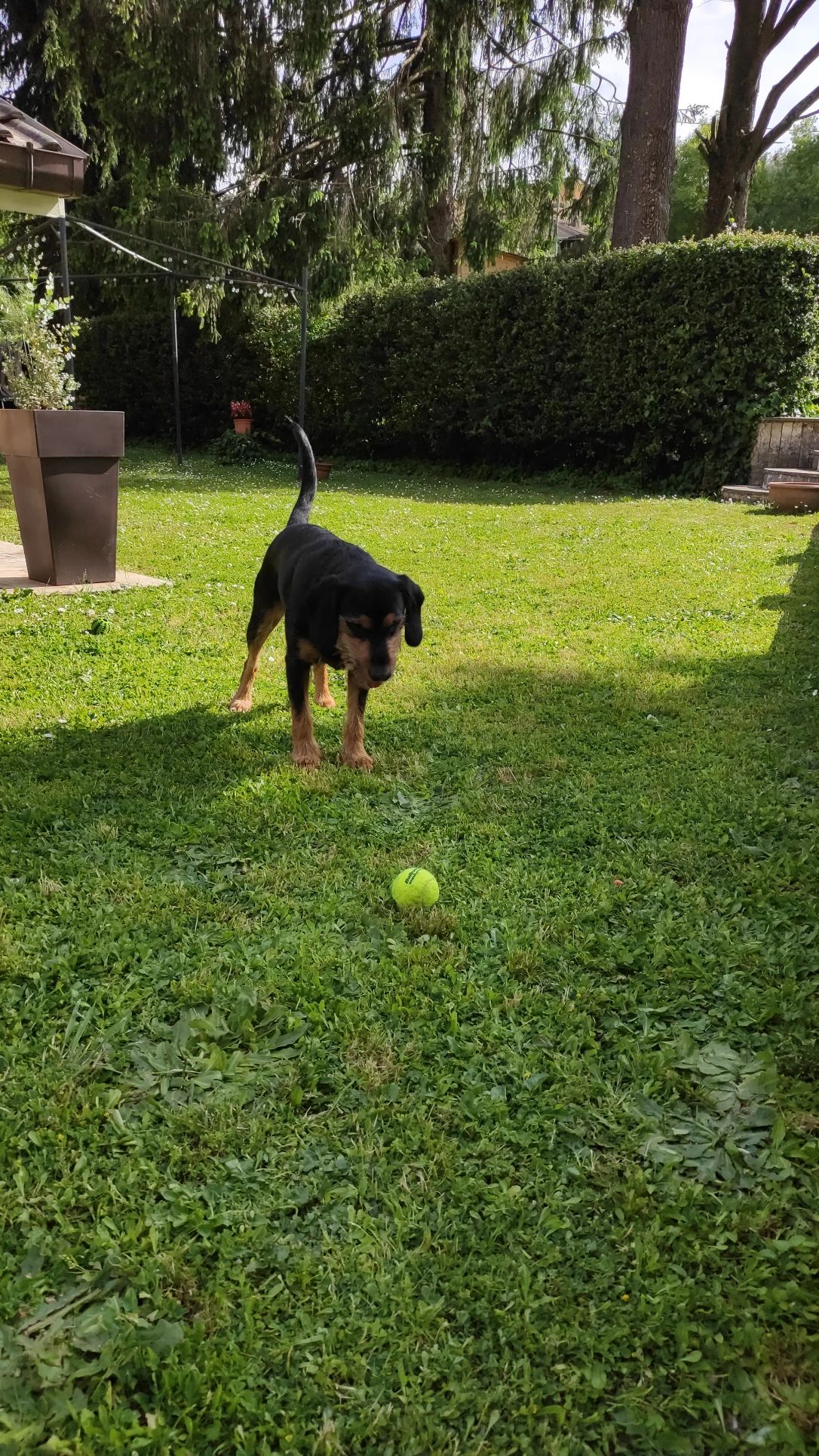image-37
