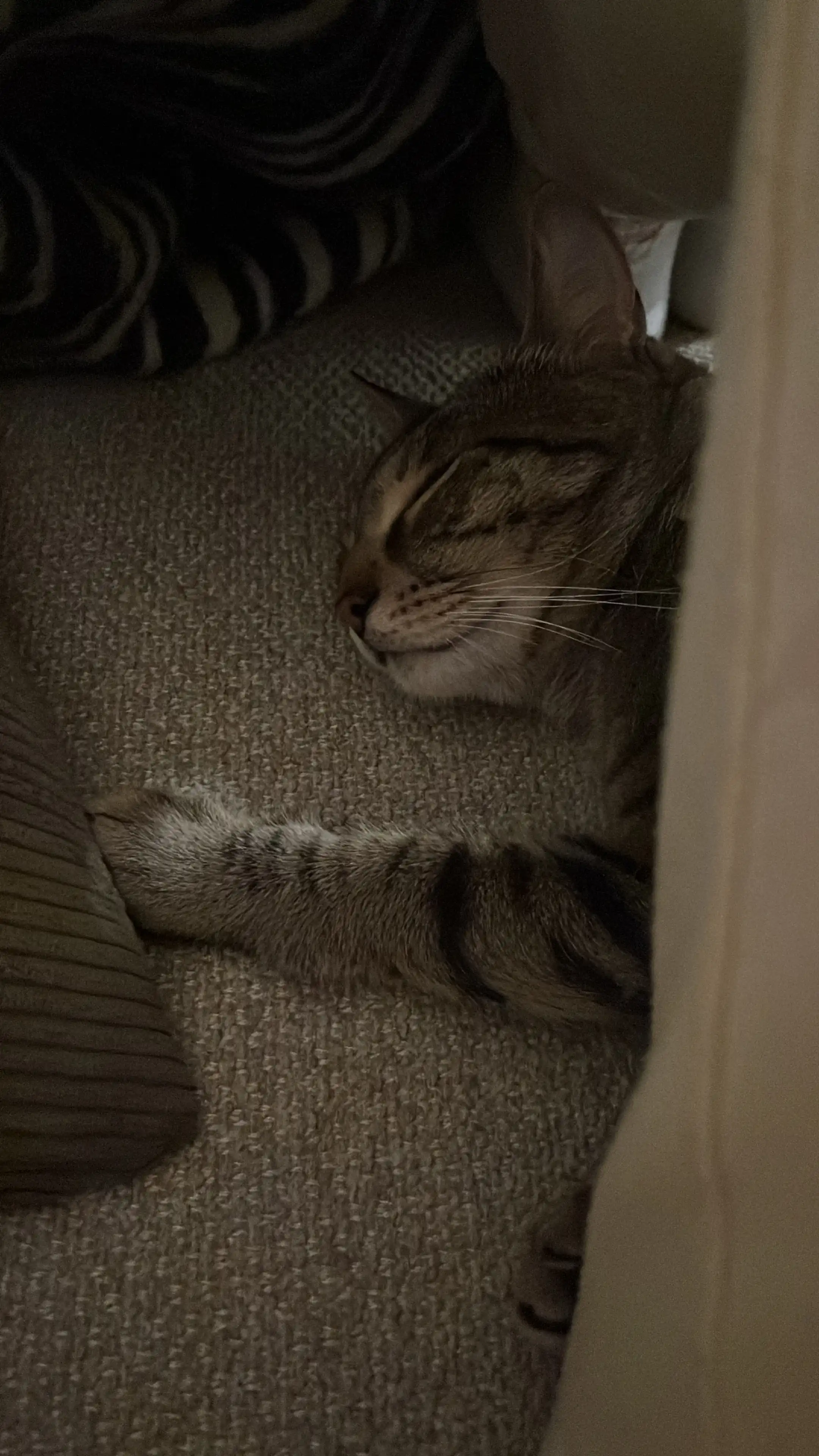 image-16