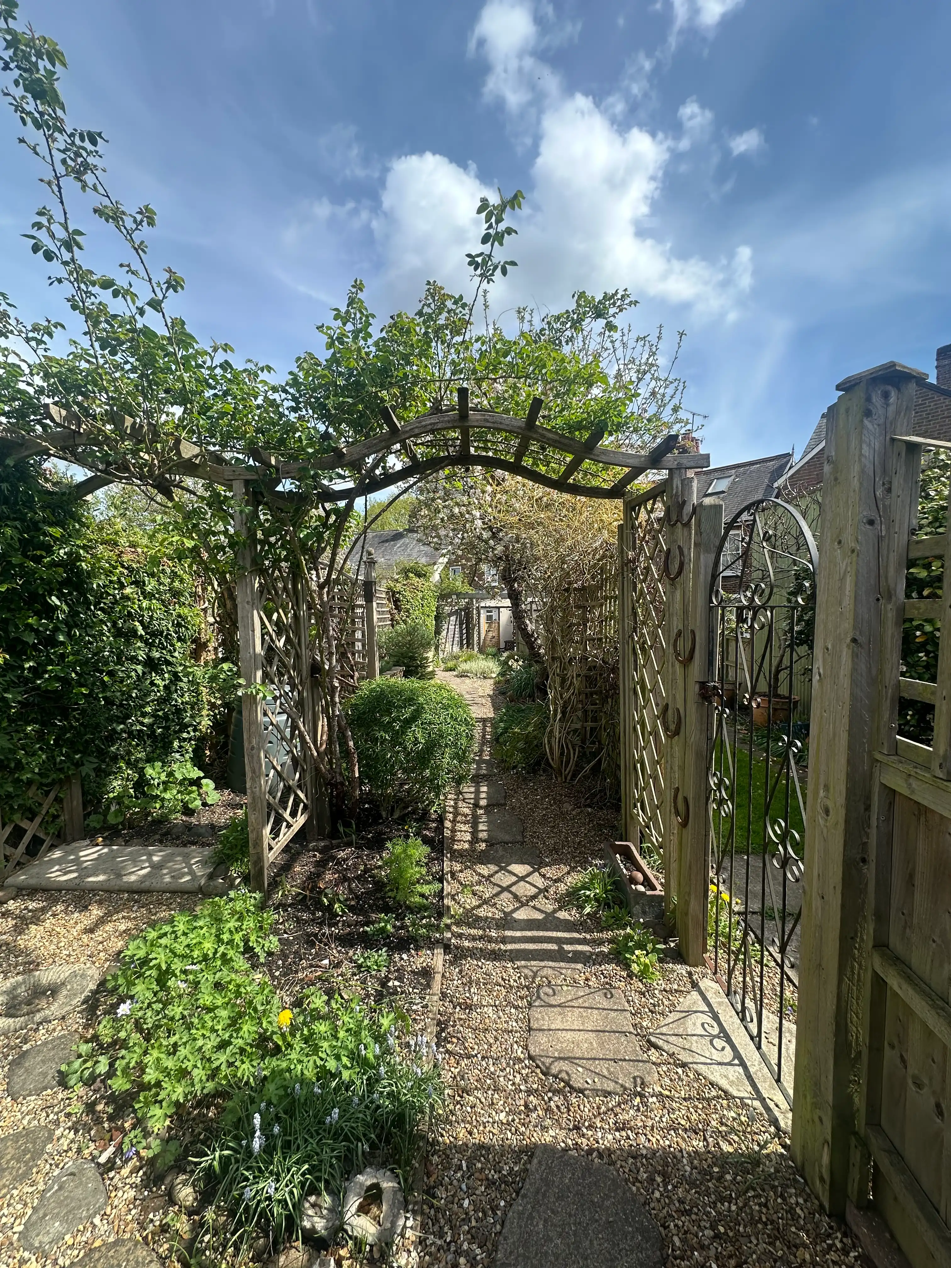 image-18