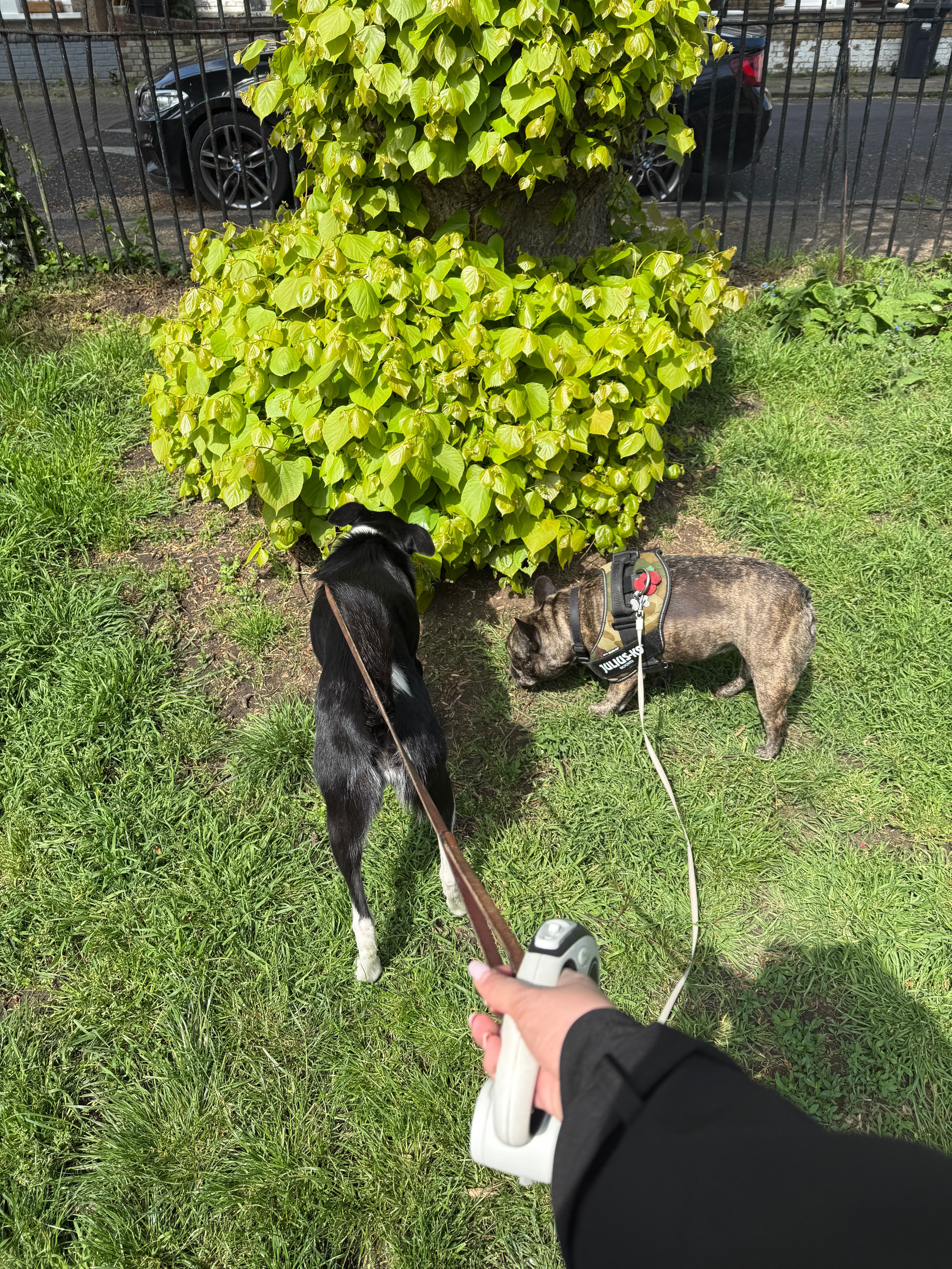 image-28