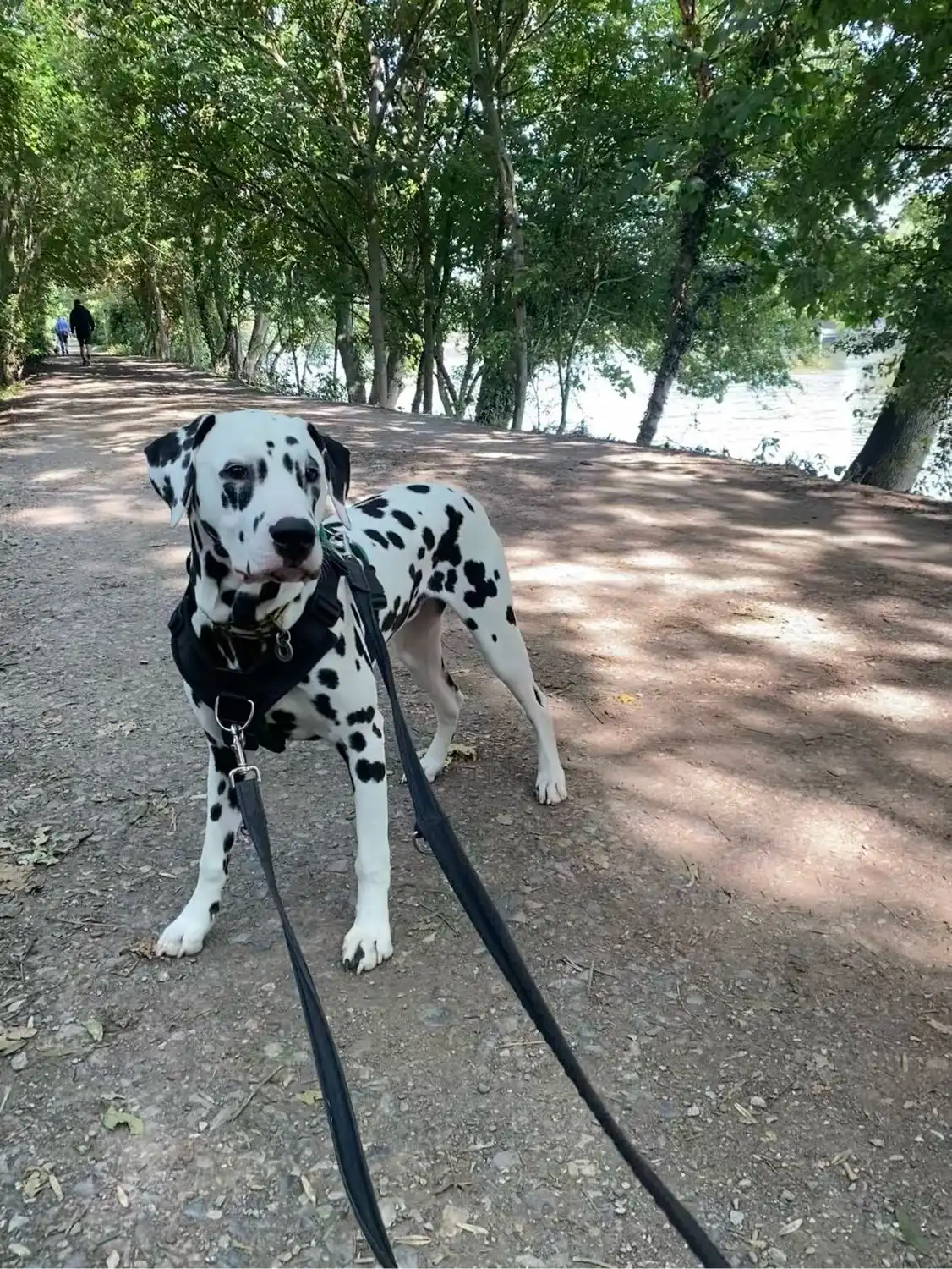 image-10