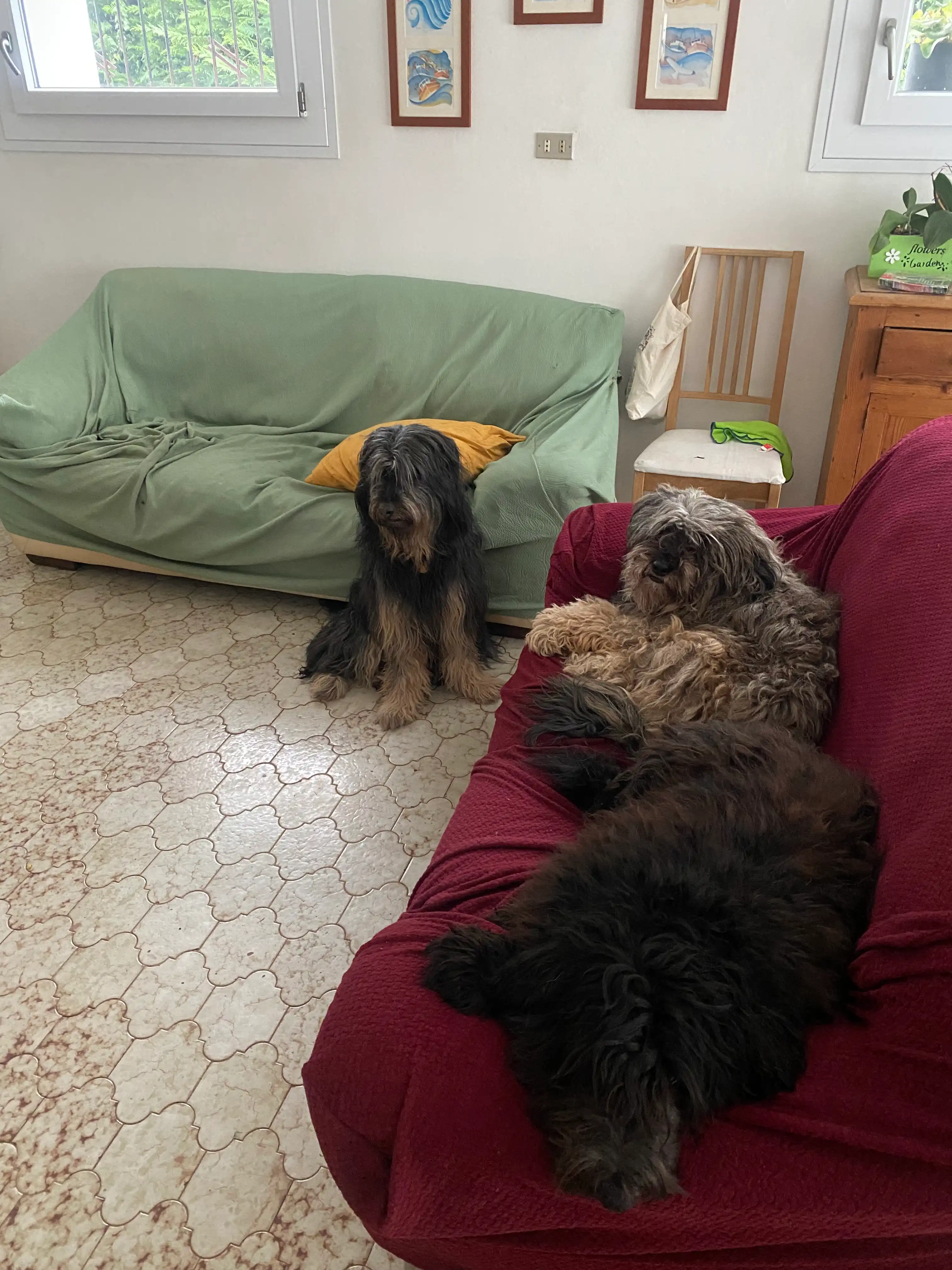 image-10