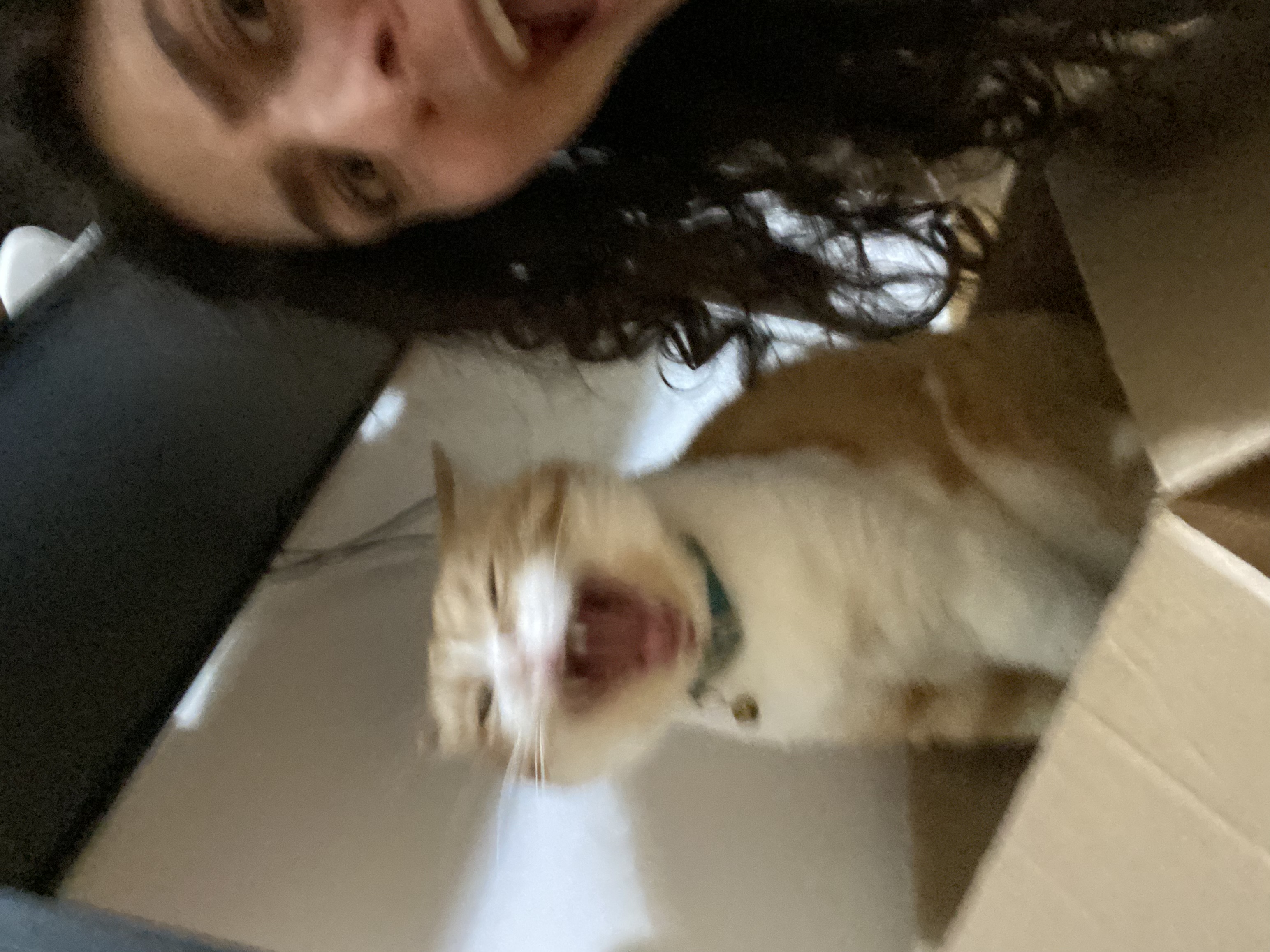 image-8