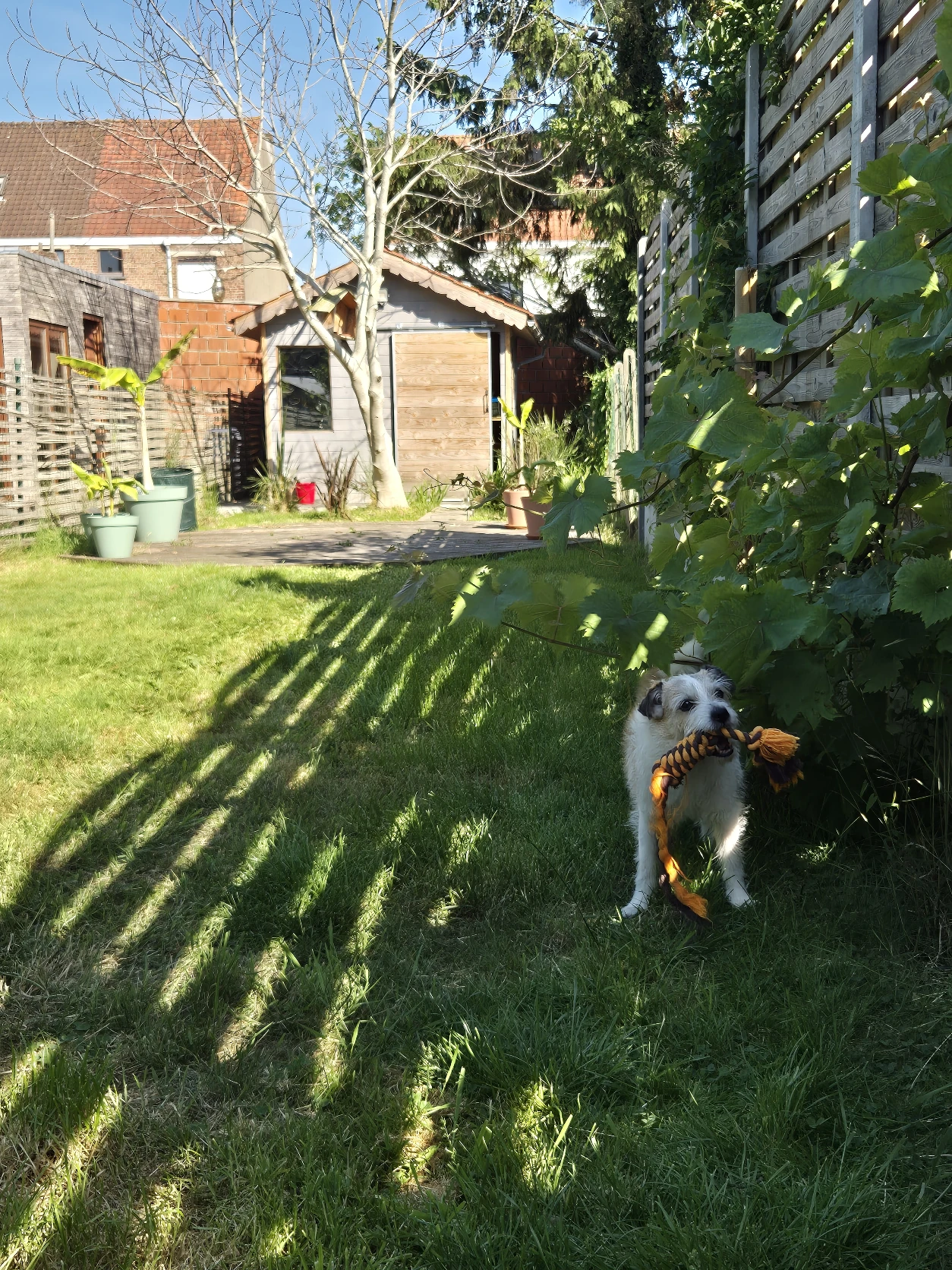 image-20