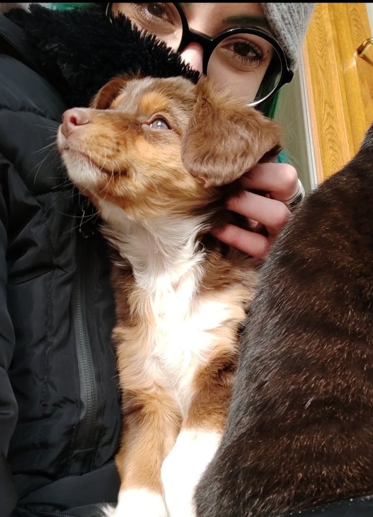 image-8