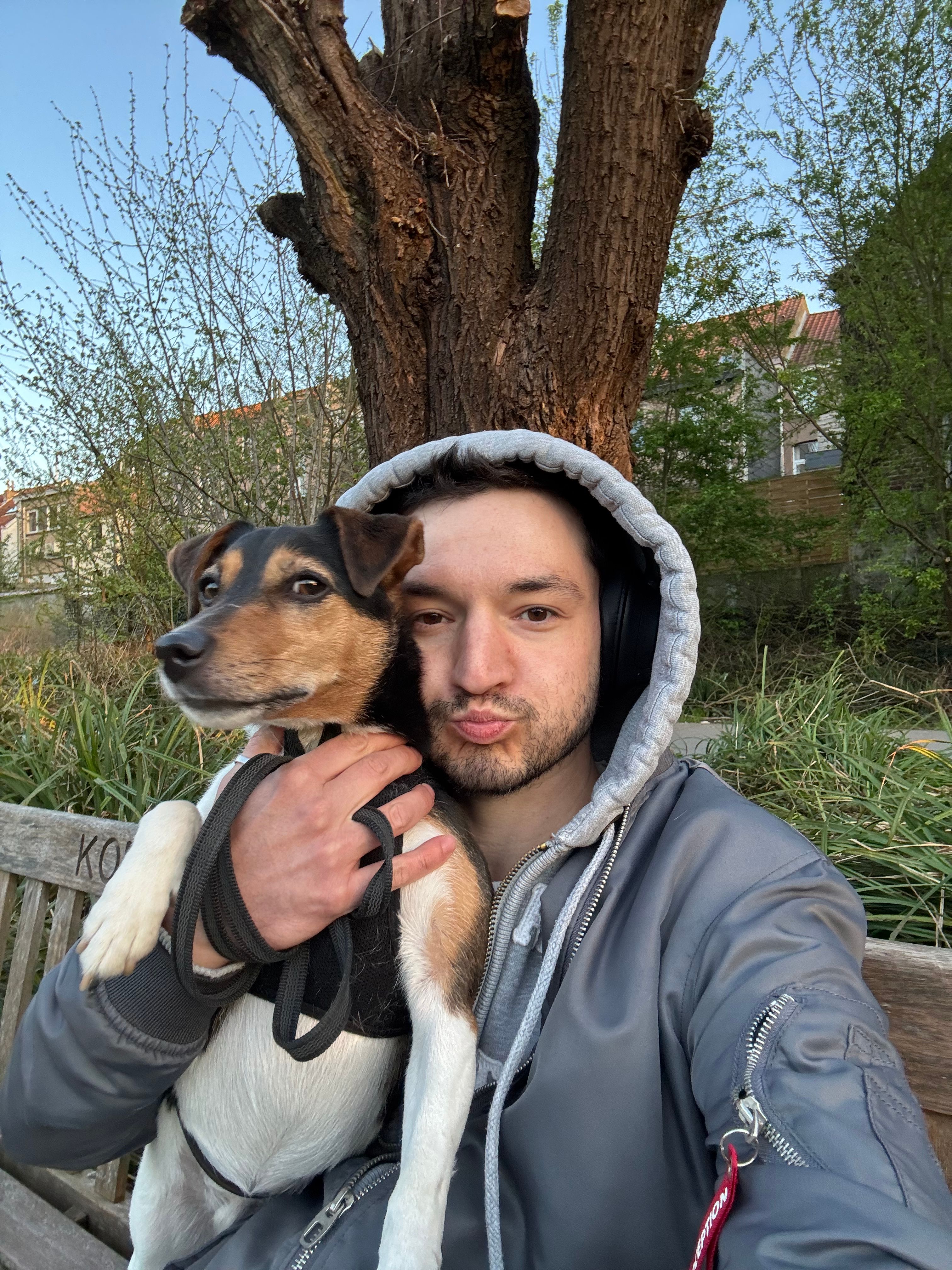 image-6